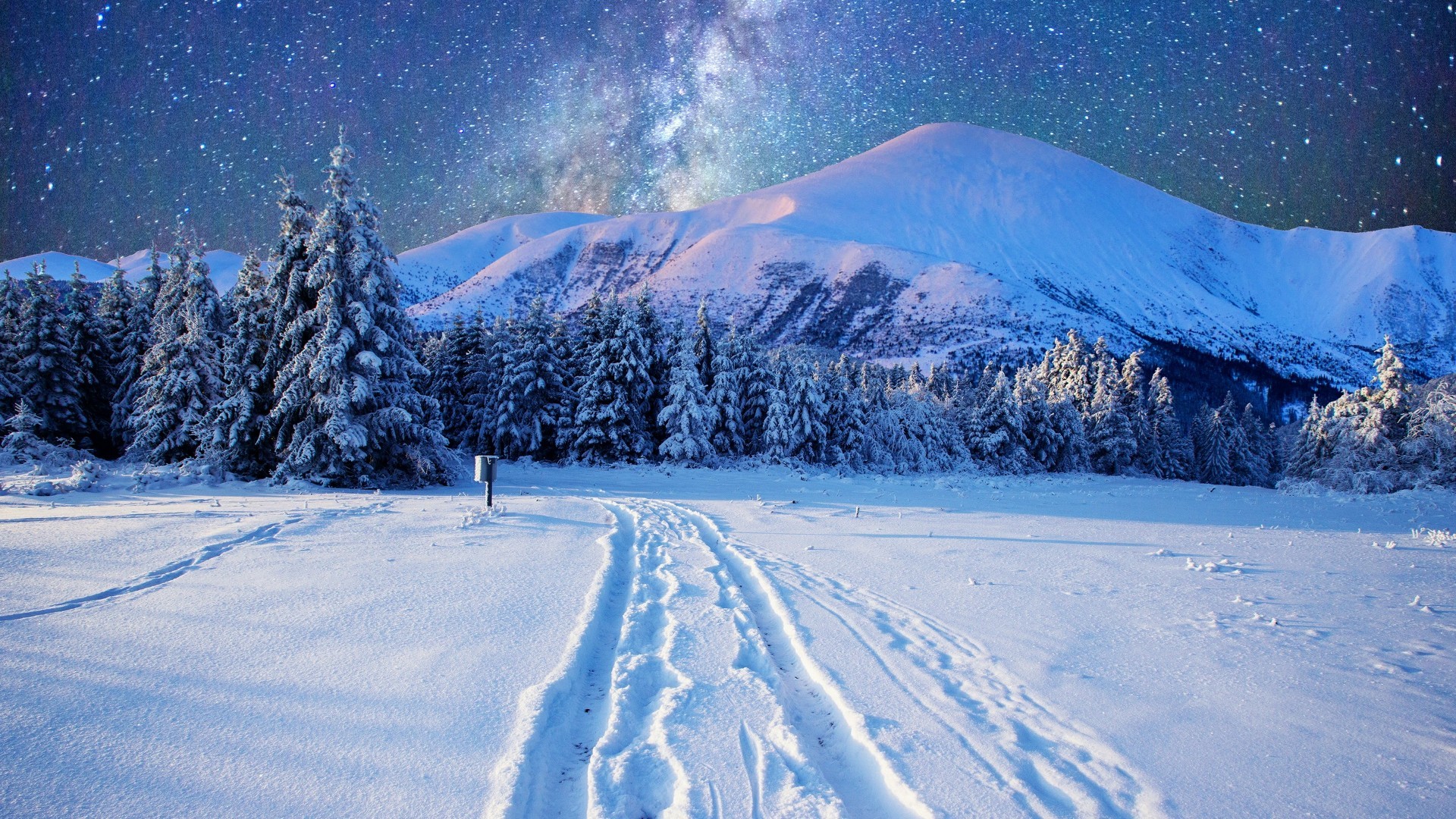 Snowy Night Wallpaper (69+ Pictures)