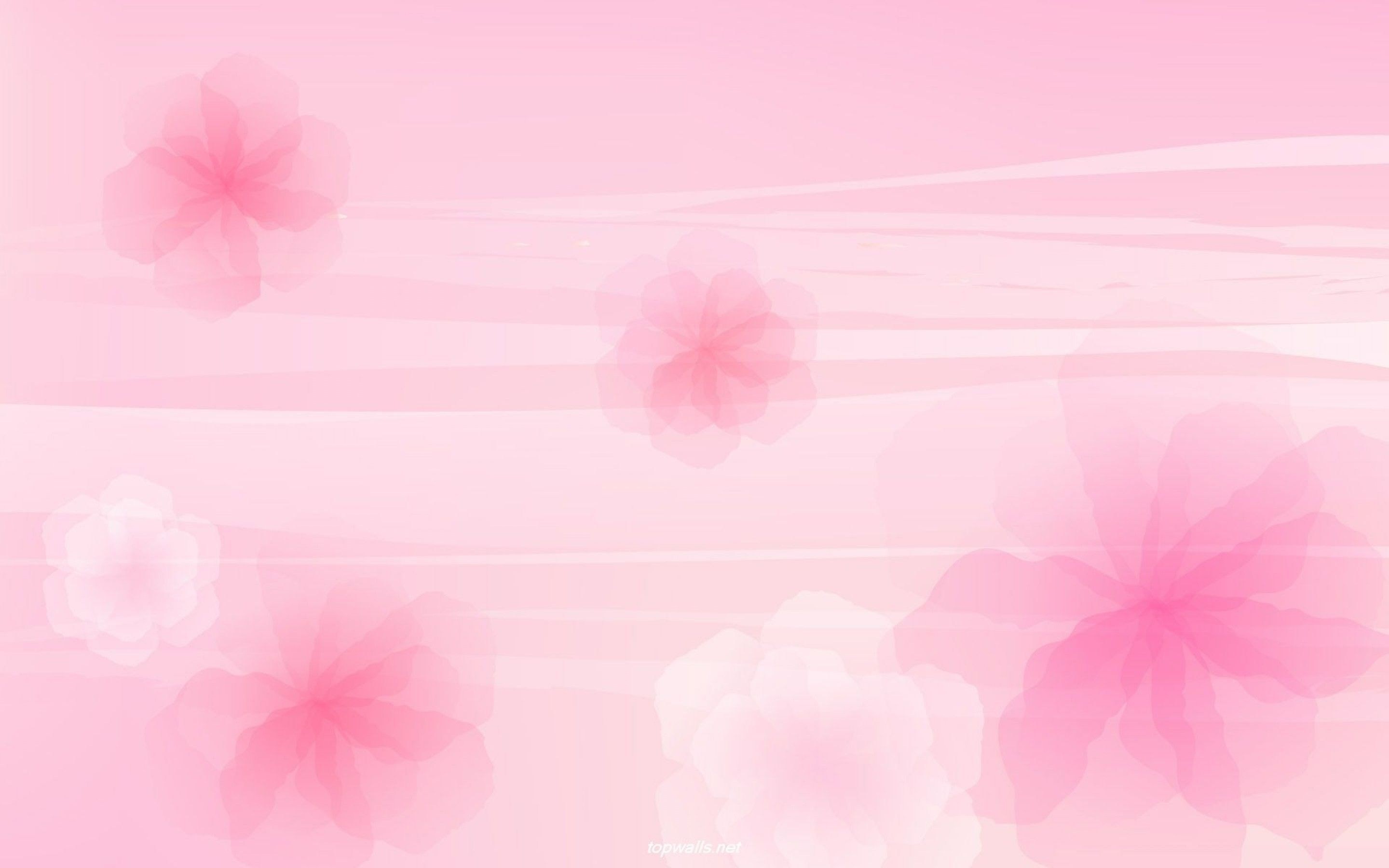 Pink Background Images  Free iPhone  Zoom HD Wallpapers  Vectors   rawpixel