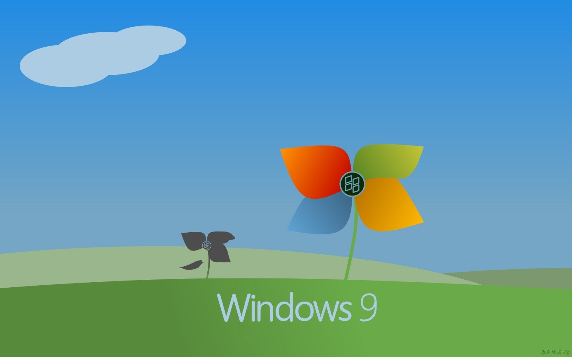 Windows 11 Nền HD tải xuống hình nền