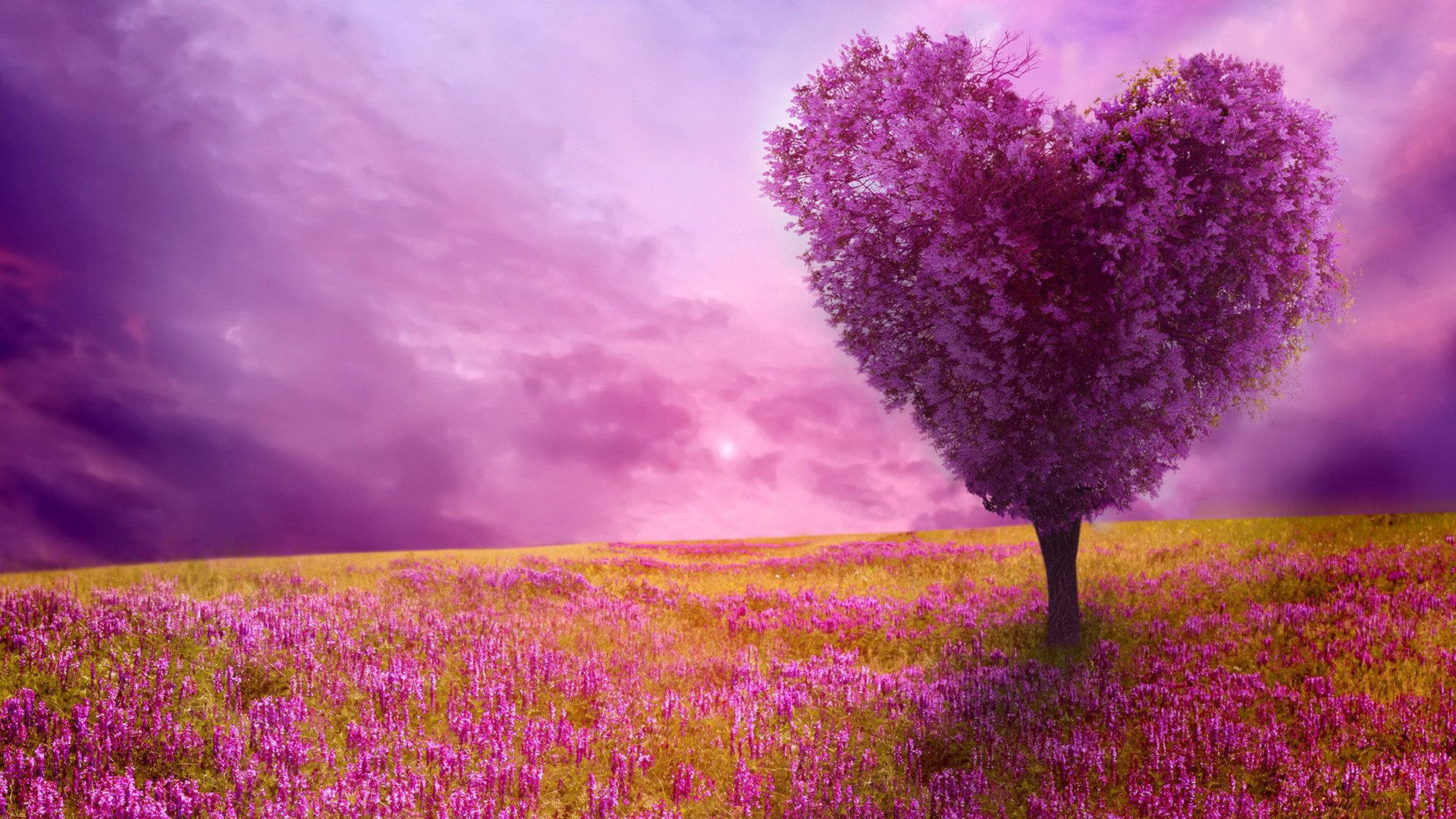 Beautiful Springtime Wallpapers in HD Widescreen - HD Wallpapers 1920x1080