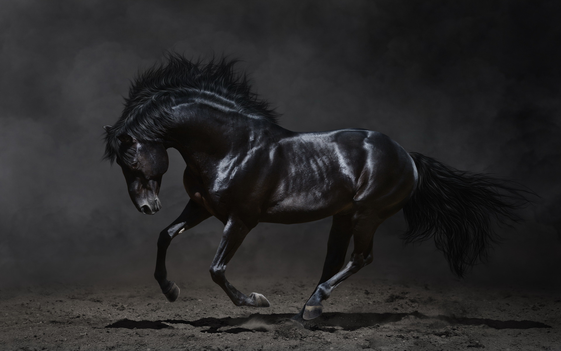 Horse Desktop Wallpaper (62+ pictures)