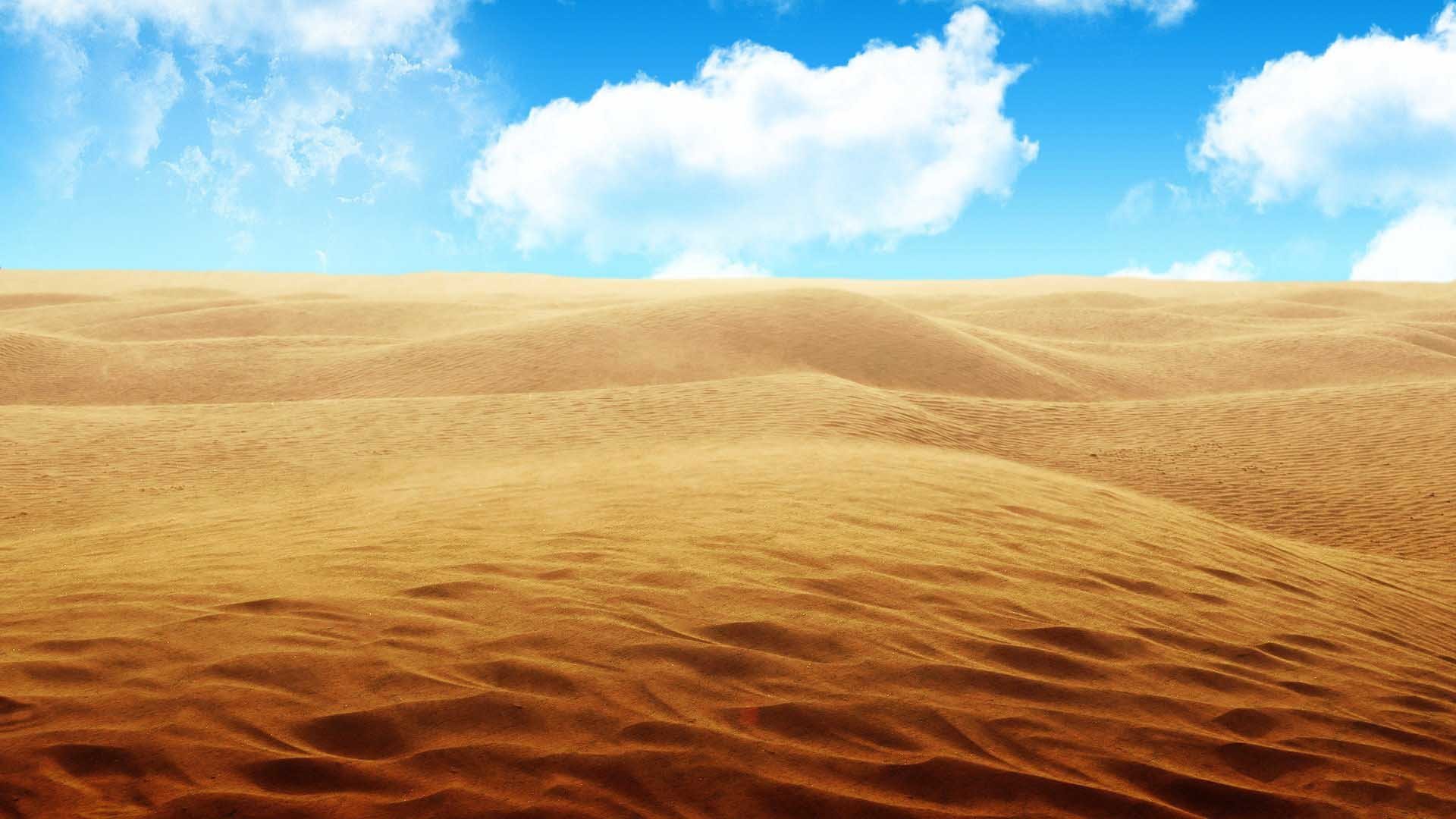 Deadly Desert | OnePiece Fanon Wiki | Fandom