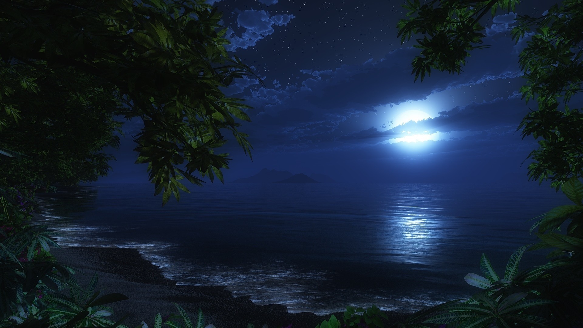 Night Beach Wallpapers (76+ pictures)