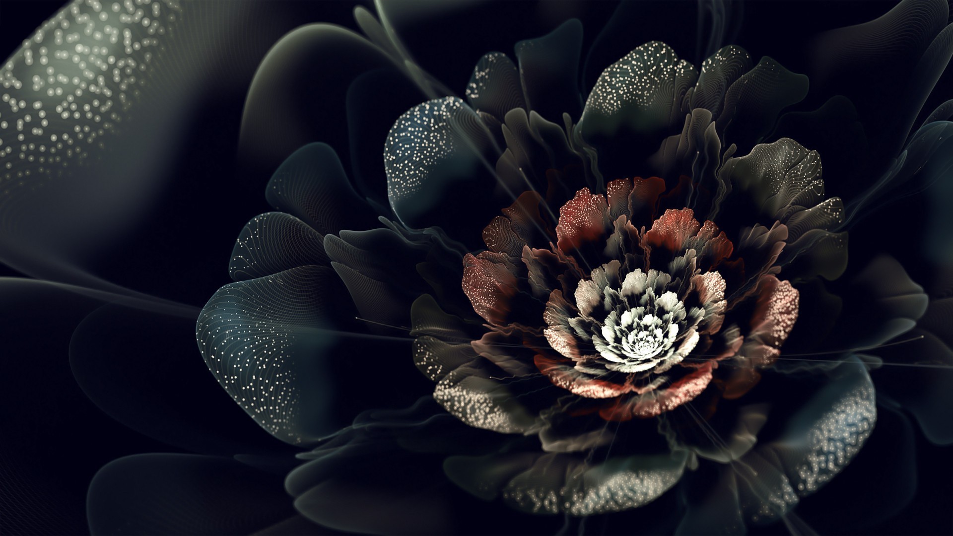 Black Rose Background (52+ pictures)