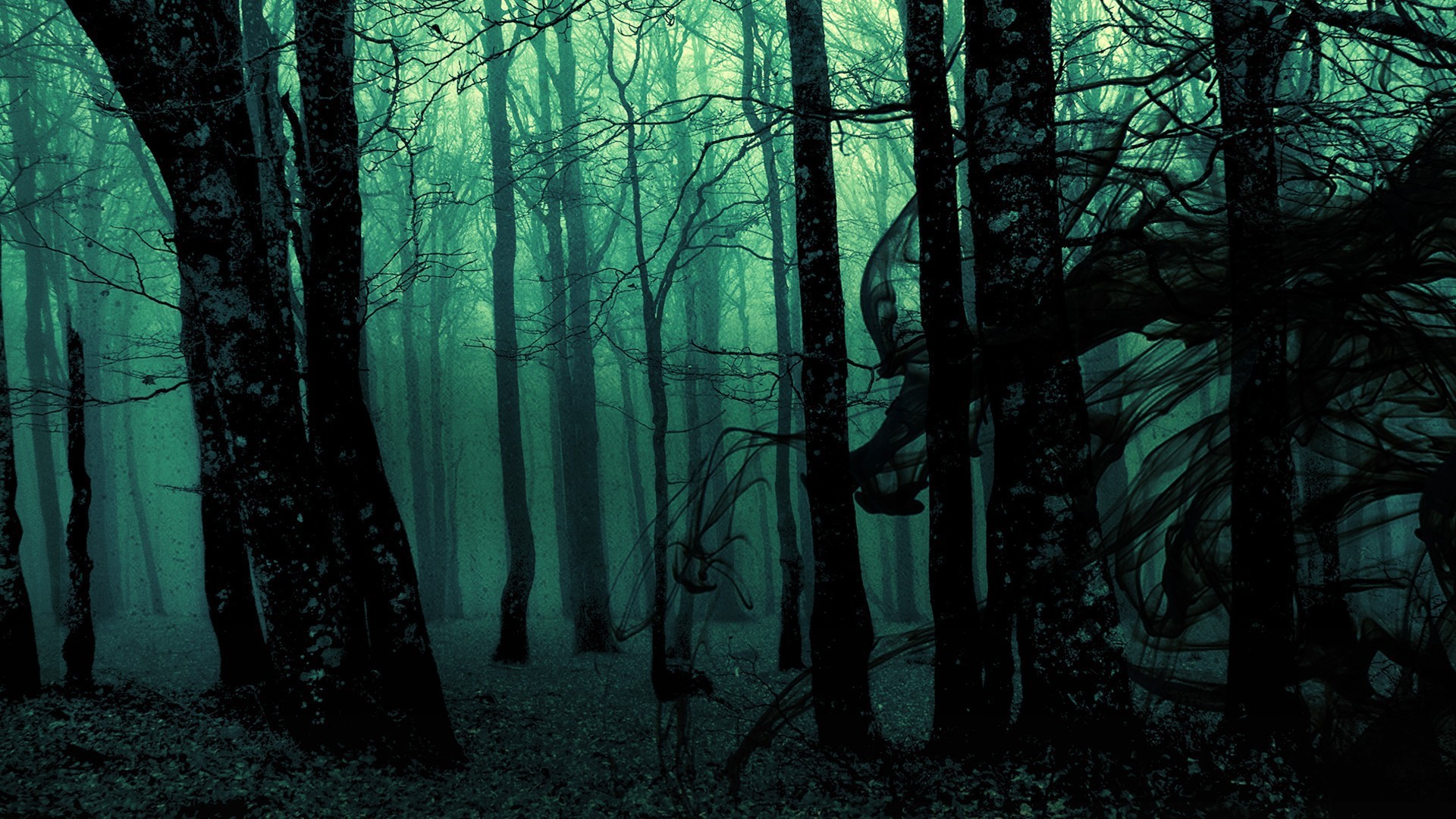 Dark-Woods-Desktop-Backgrounds 1920x1080