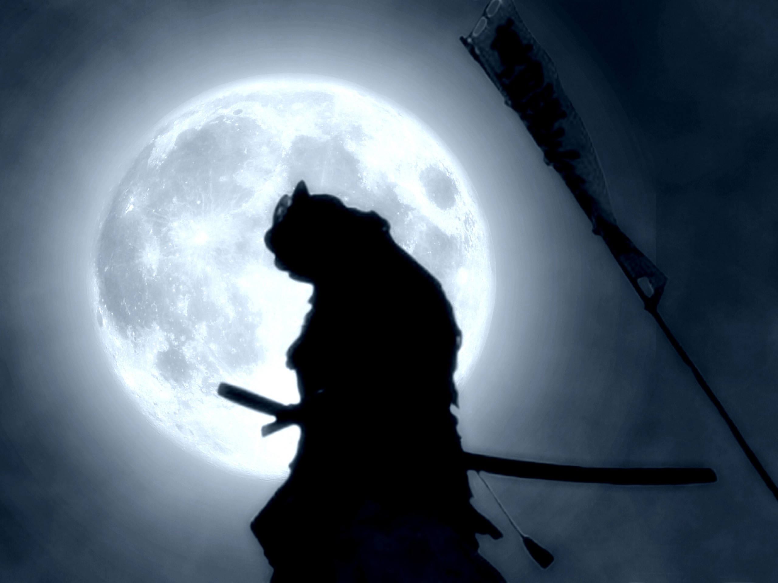 shadow fight 2 pictures ninja samurai