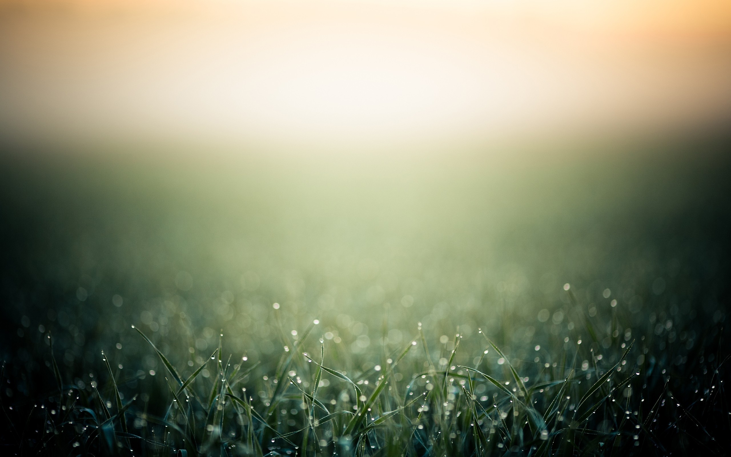 Pretty Background (44 Wallpapers) 2560x1600