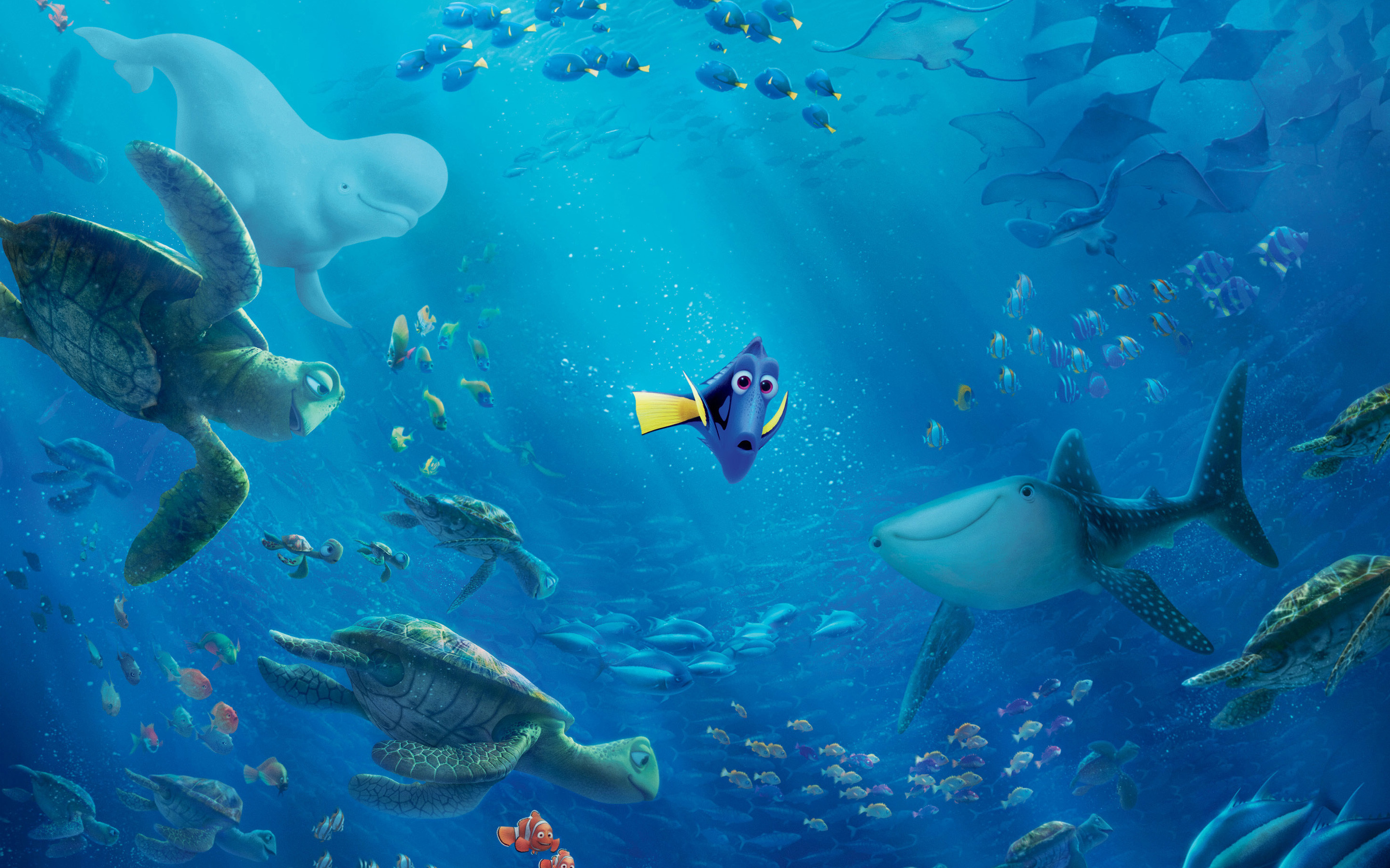 Finding Nemo Backgrounds (70+ pictures)