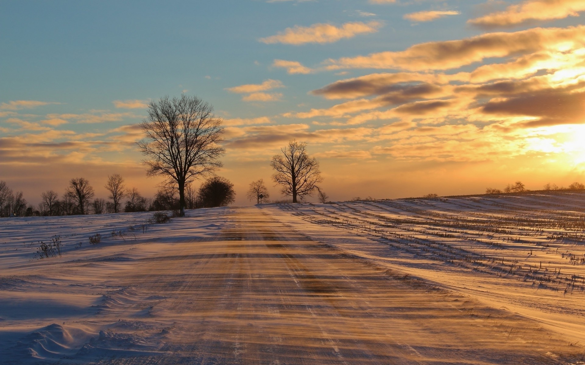 Winter Road Field Trees Sunset wallpapers and stock photos 1920x1200