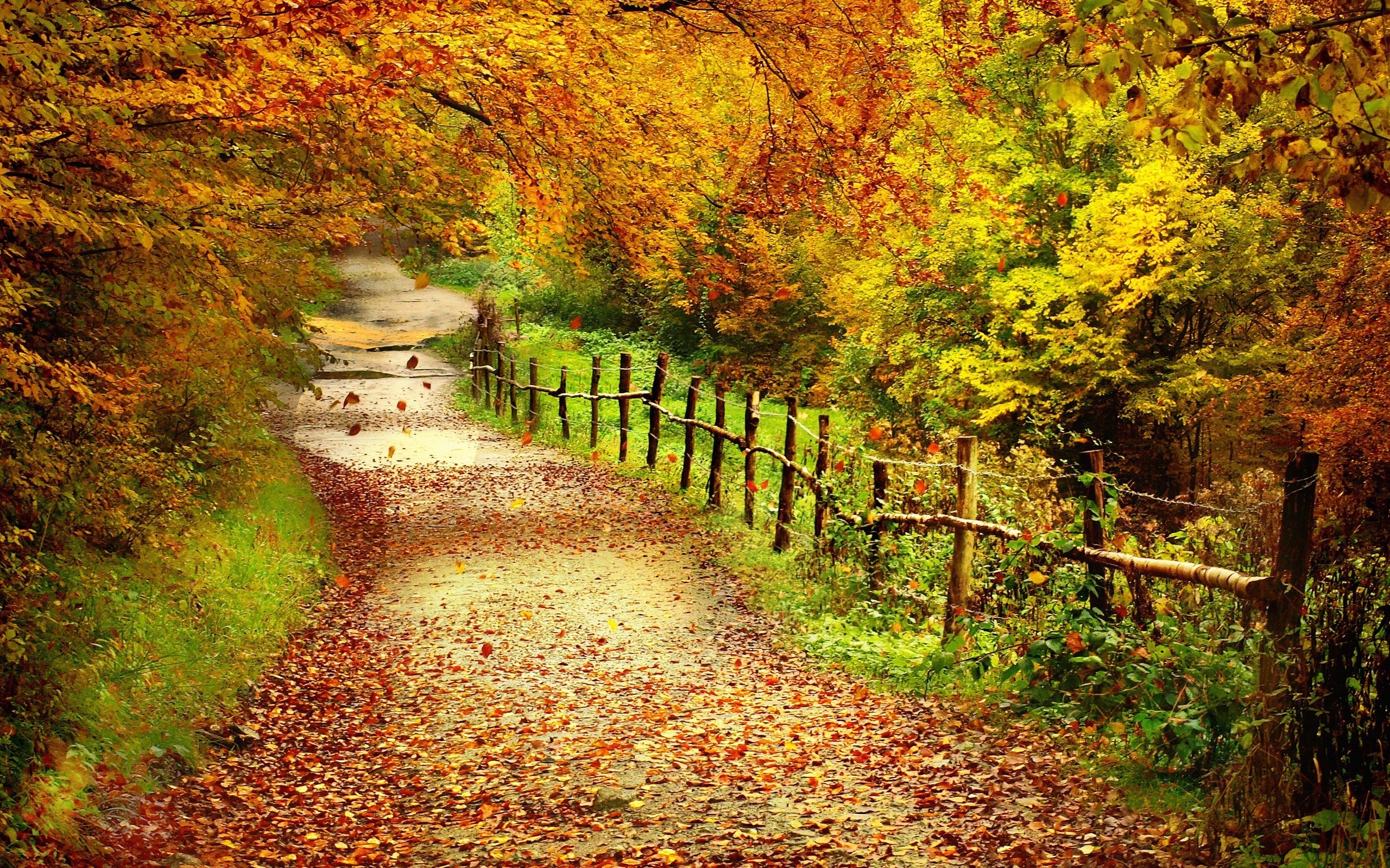 Desktop Wallpaper Autumn Scenes 41 images