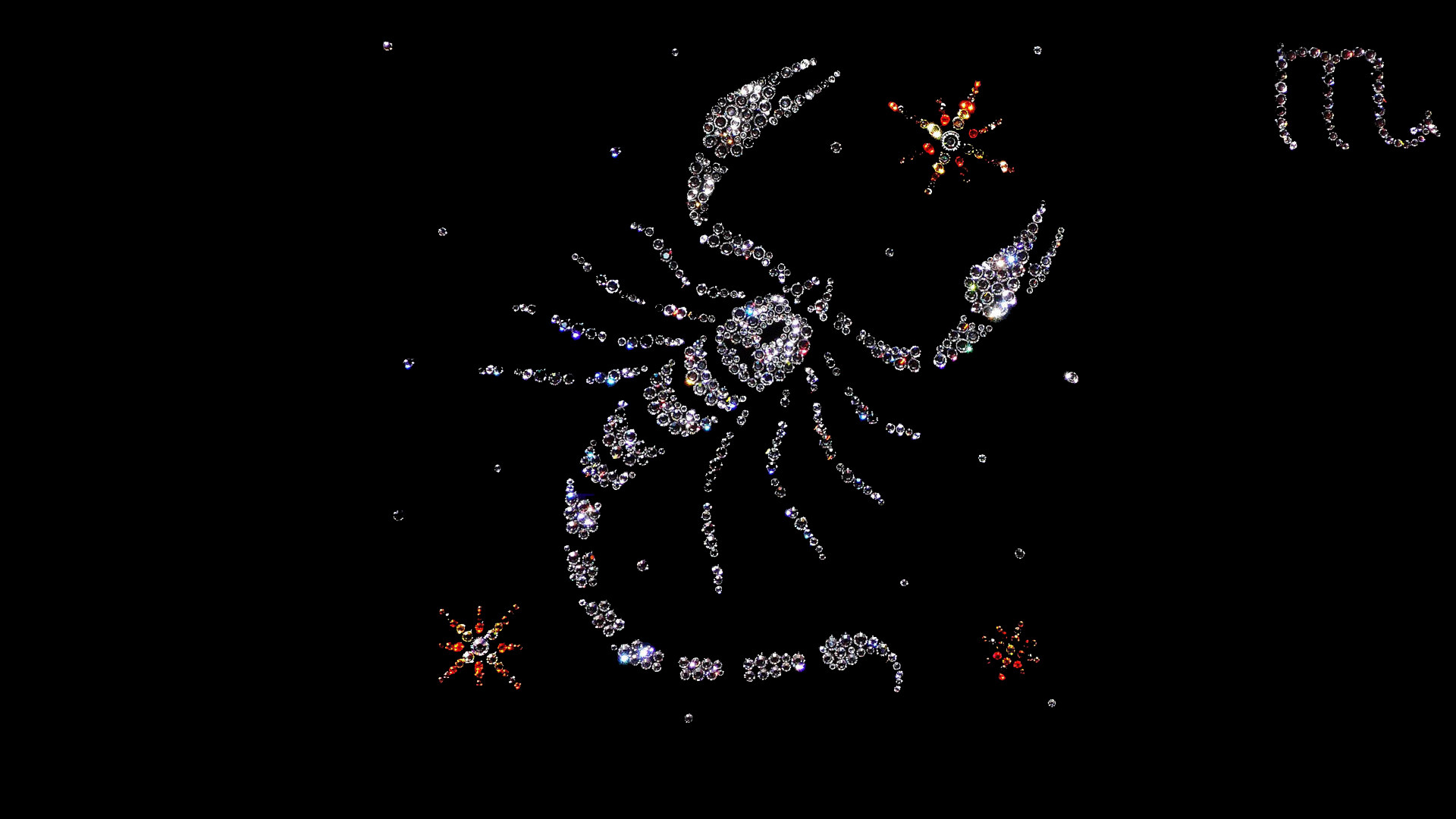 Scorpion-Pictures 1920x1080