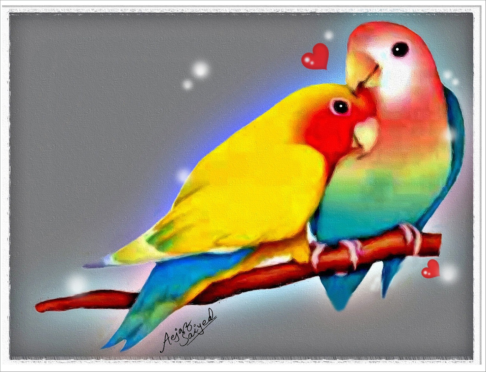hd wallpaper of love birds