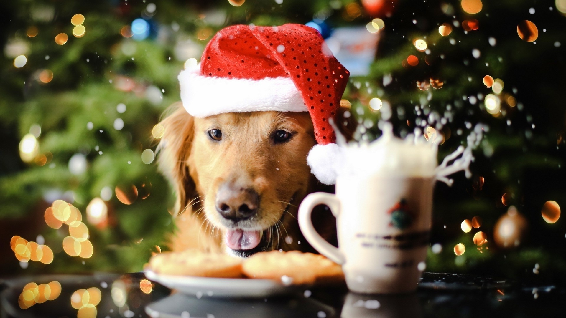 Christmas Puppy Wallpaper (55+ pictures)