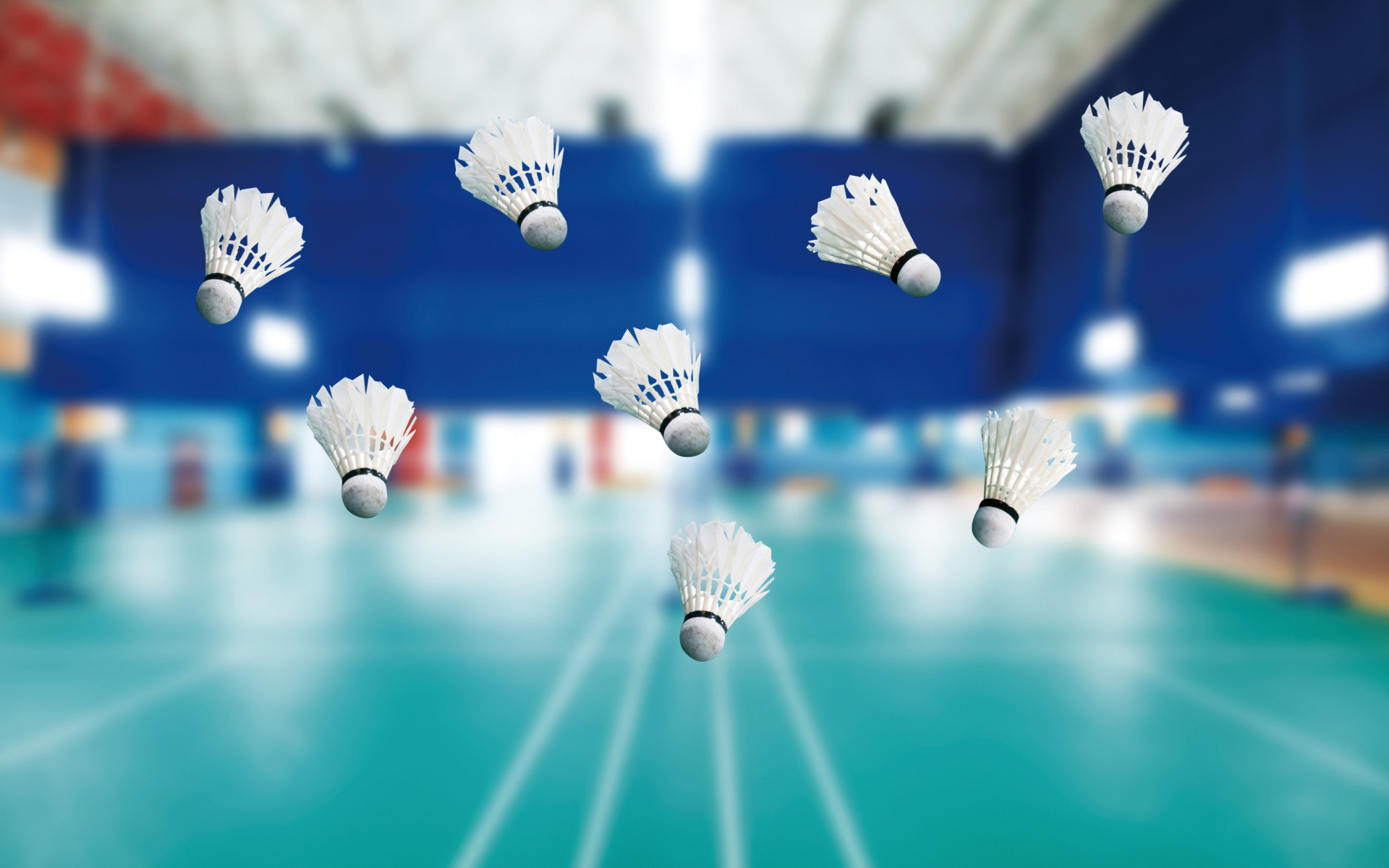 Top 129+ badminton wallpaper best - xkldase.edu.vn