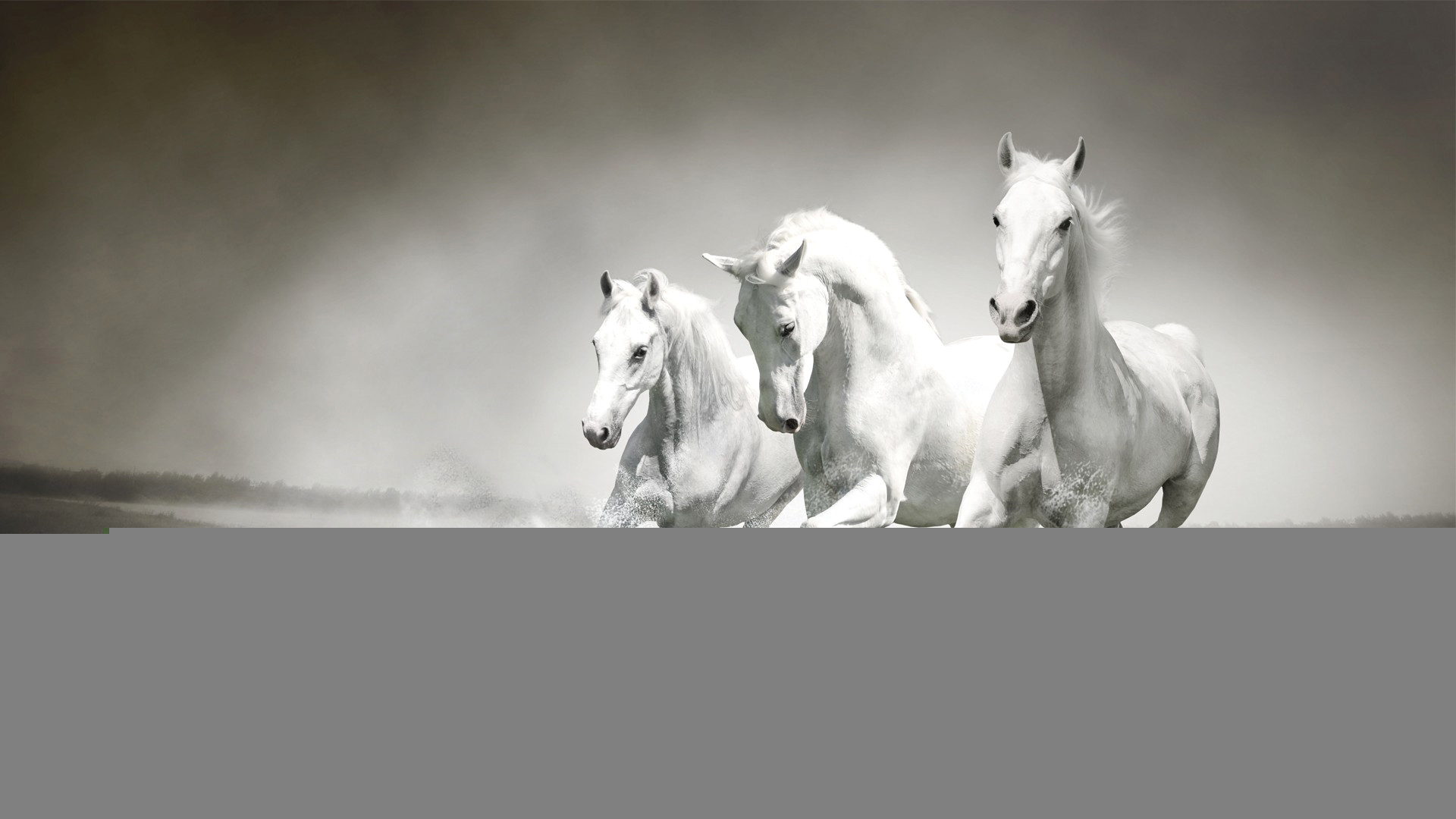 Белые лошадки песня. Тройка белых лошадей. Лошади панорама. Три лошади. Белые лошади панорама.