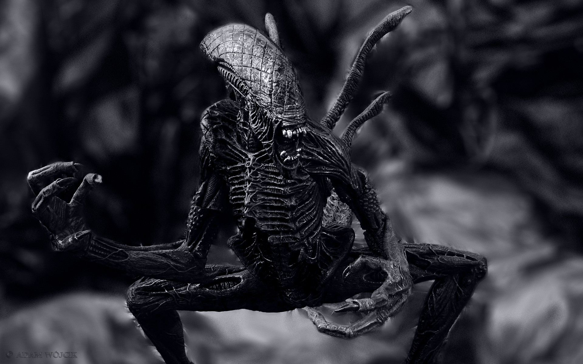 Alien wallpapers and stock photos 1920x1200