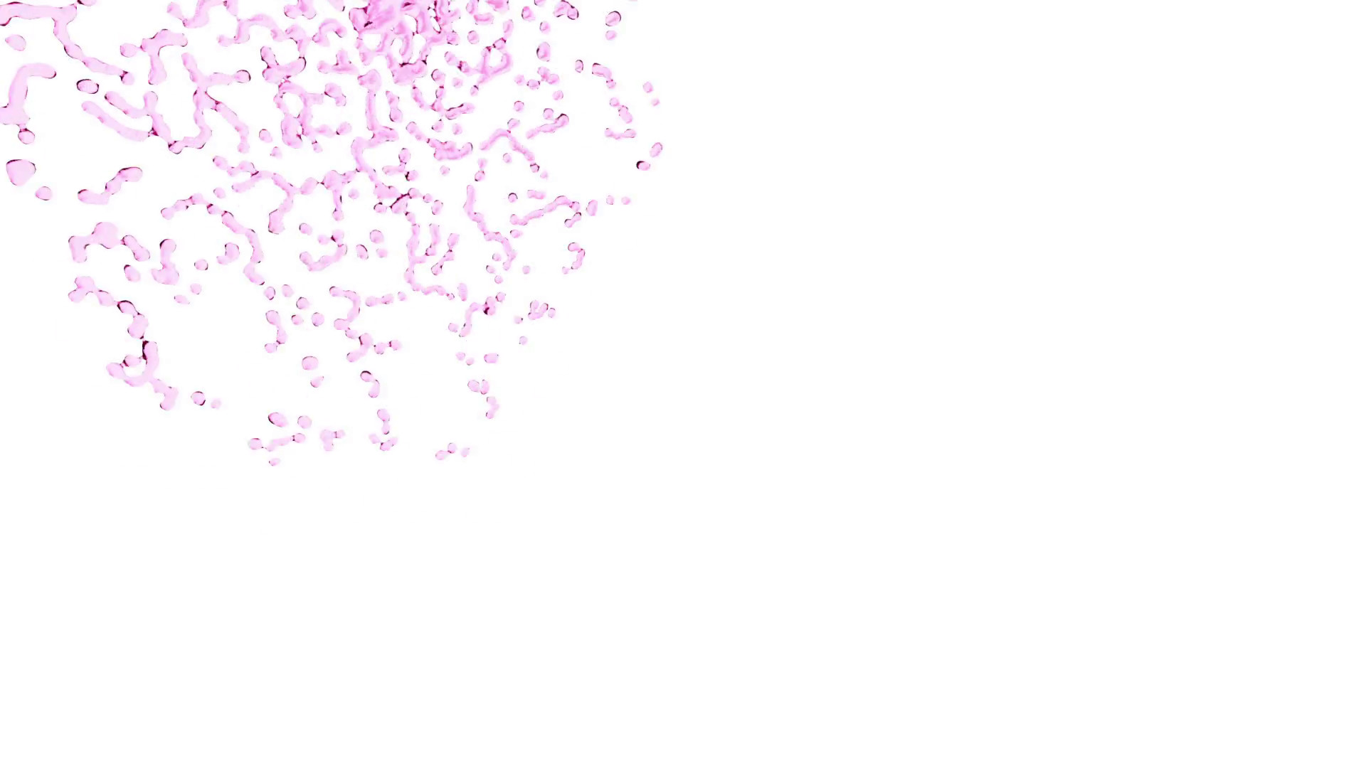 Pink and White Backgrounds (34+ pictures)