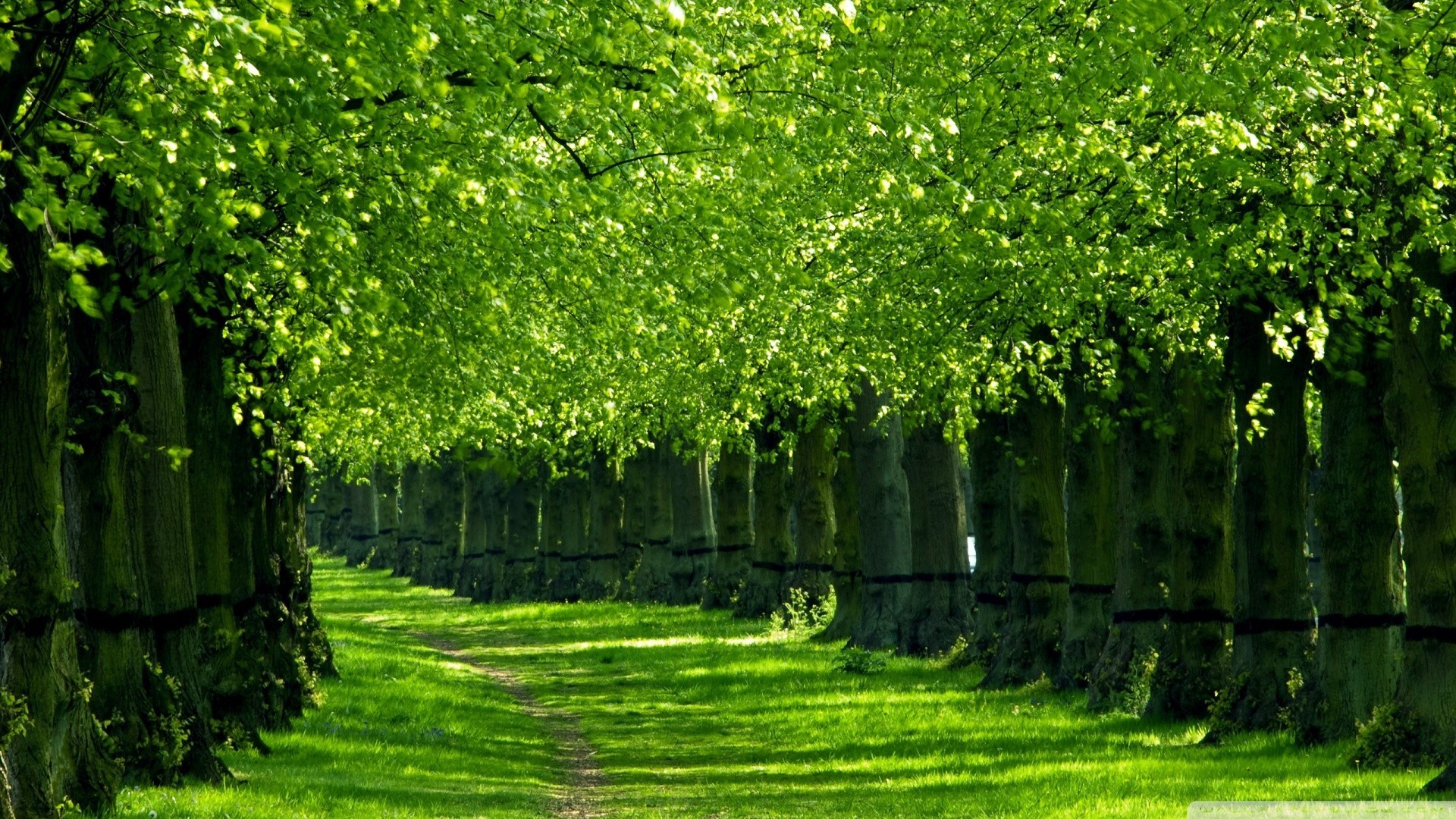... Wallpaper Nature 7 ... 1920x1080