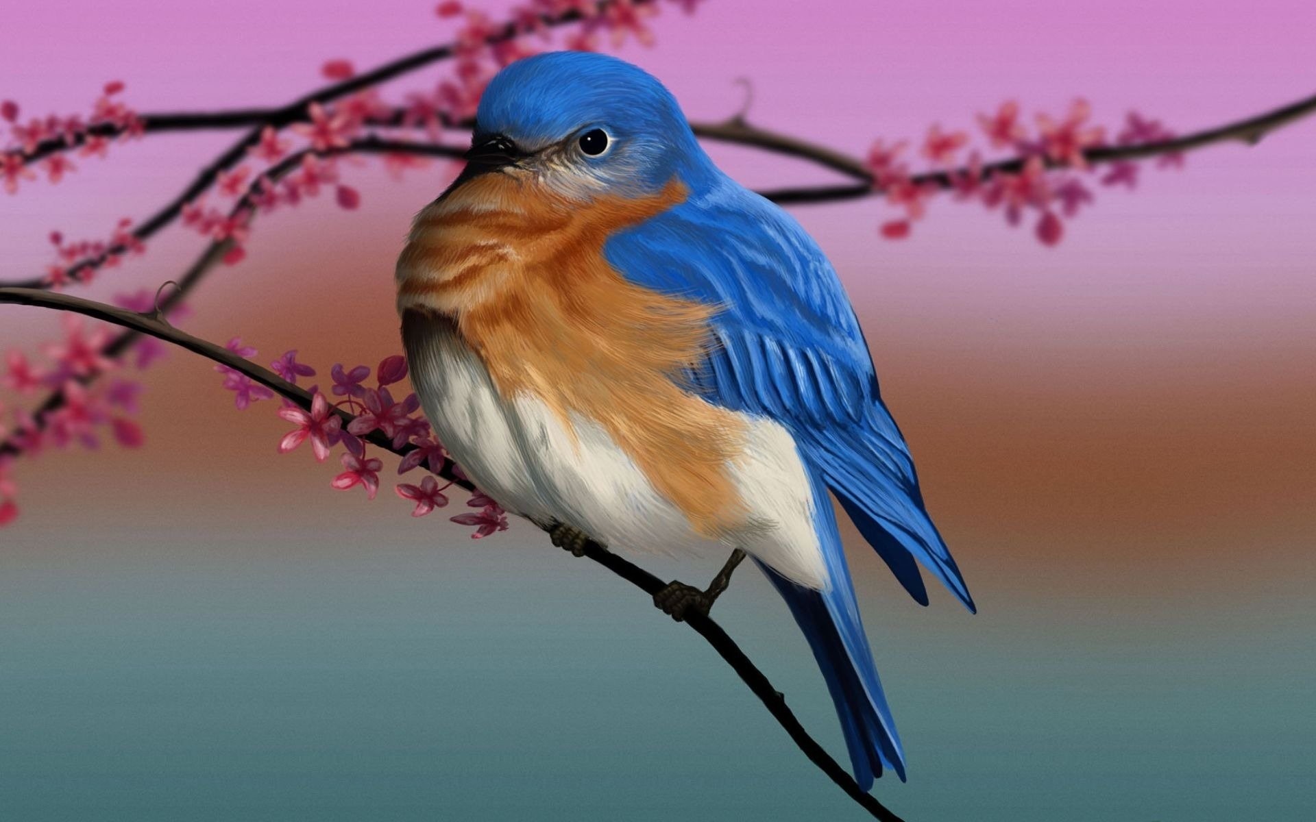 Blue Bird Photo Background  PepperLu