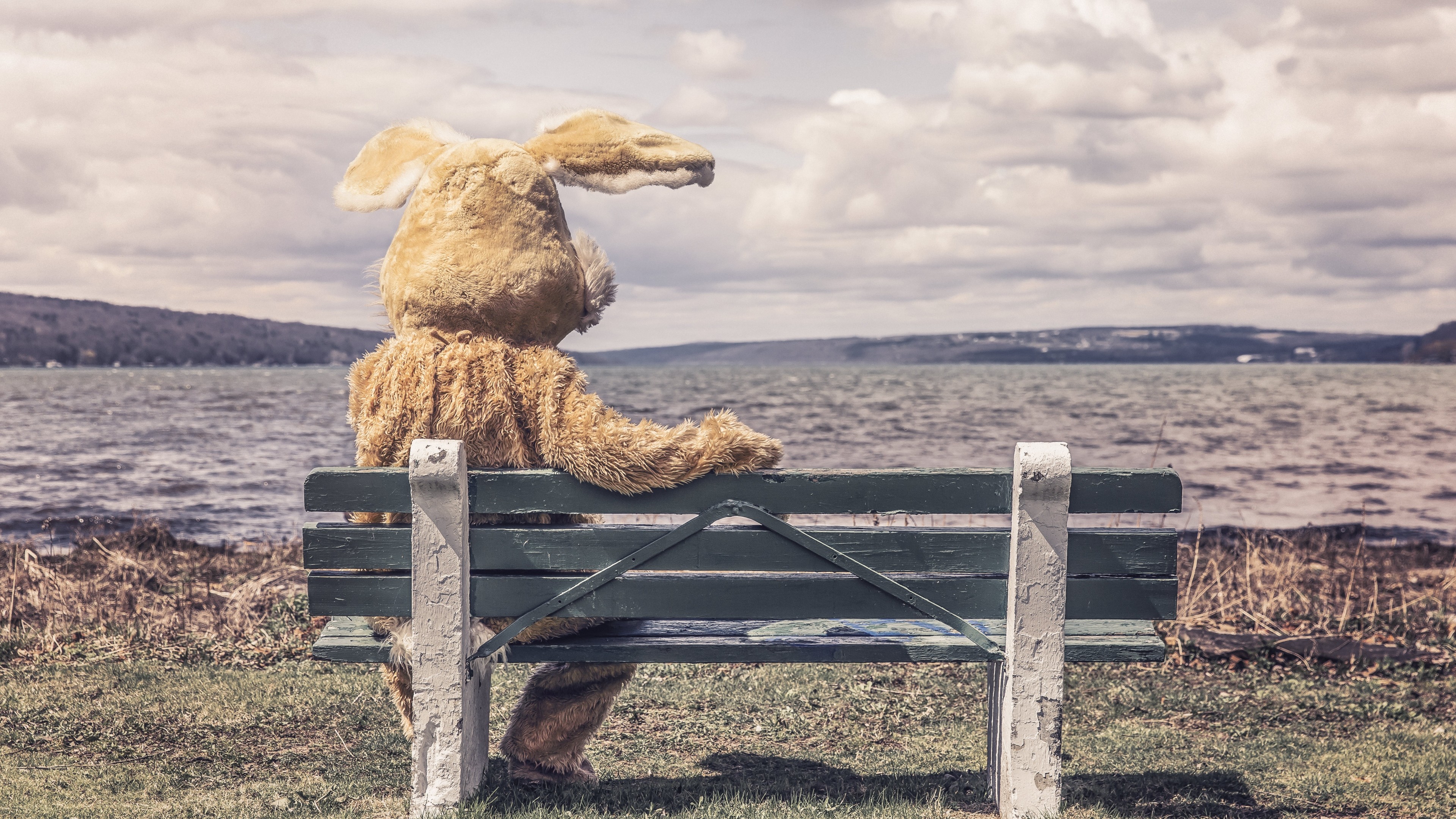 Preview wallpaper bunny, suit, bench, shade, river 3840x2160 3840x2160