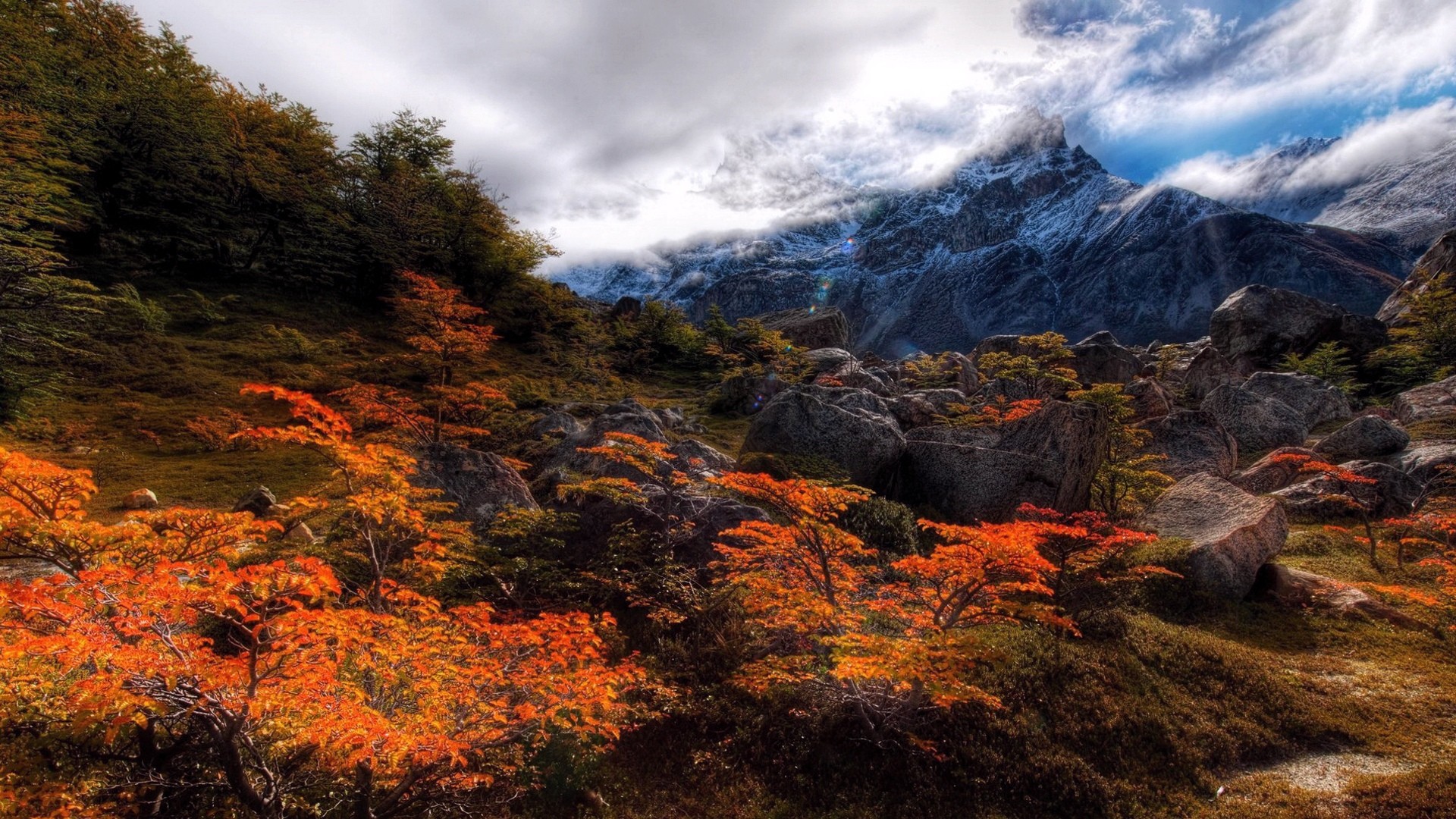 1920x1080 HD Nature Wallapers desktop PC and Mac wallpaper 1920x1080
