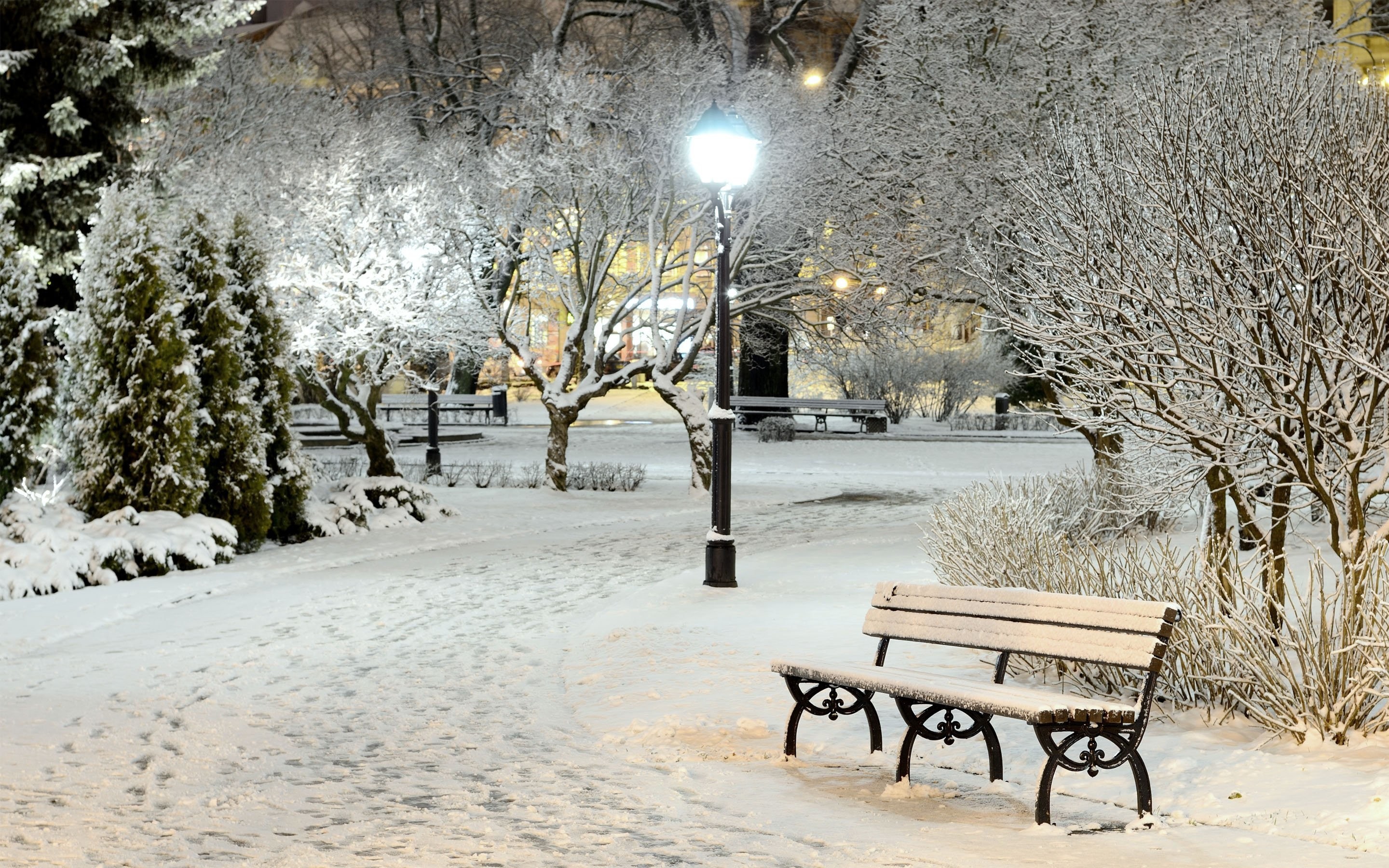 Winter Scene Wallpapers 53 Pictures