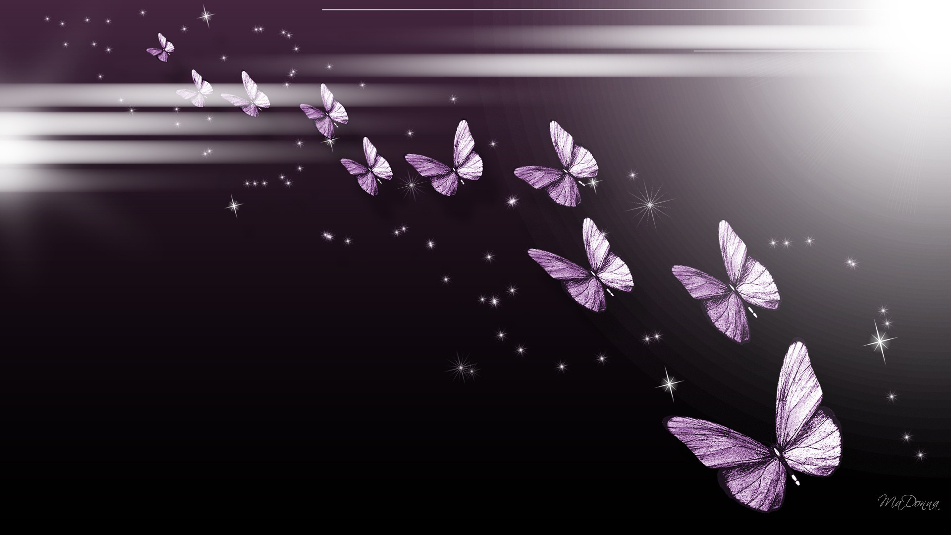 Purple Flowers and Butterflies Wallpapers  Top Free Purple Flowers and  Butterflies Backgrounds  WallpaperAccess