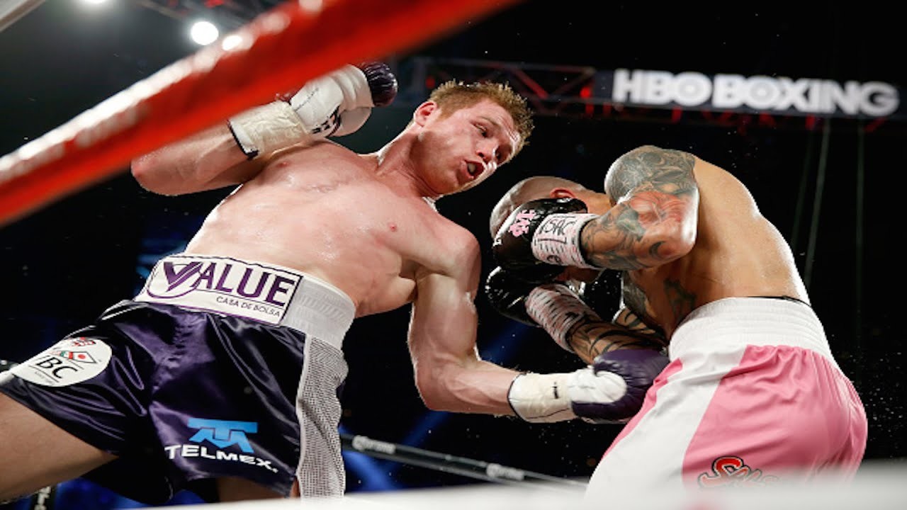 canelo cotto betting odds
