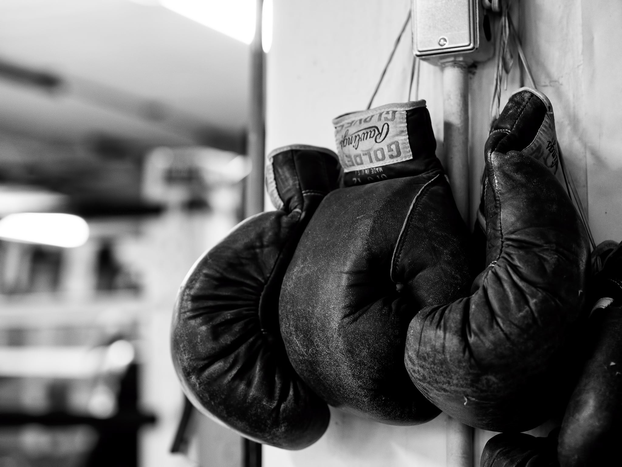 2600 Vintage Boxing Gloves Stock Photos Pictures  RoyaltyFree Images   iStock  Old boxing gloves Boxing ring Black boxing gloves