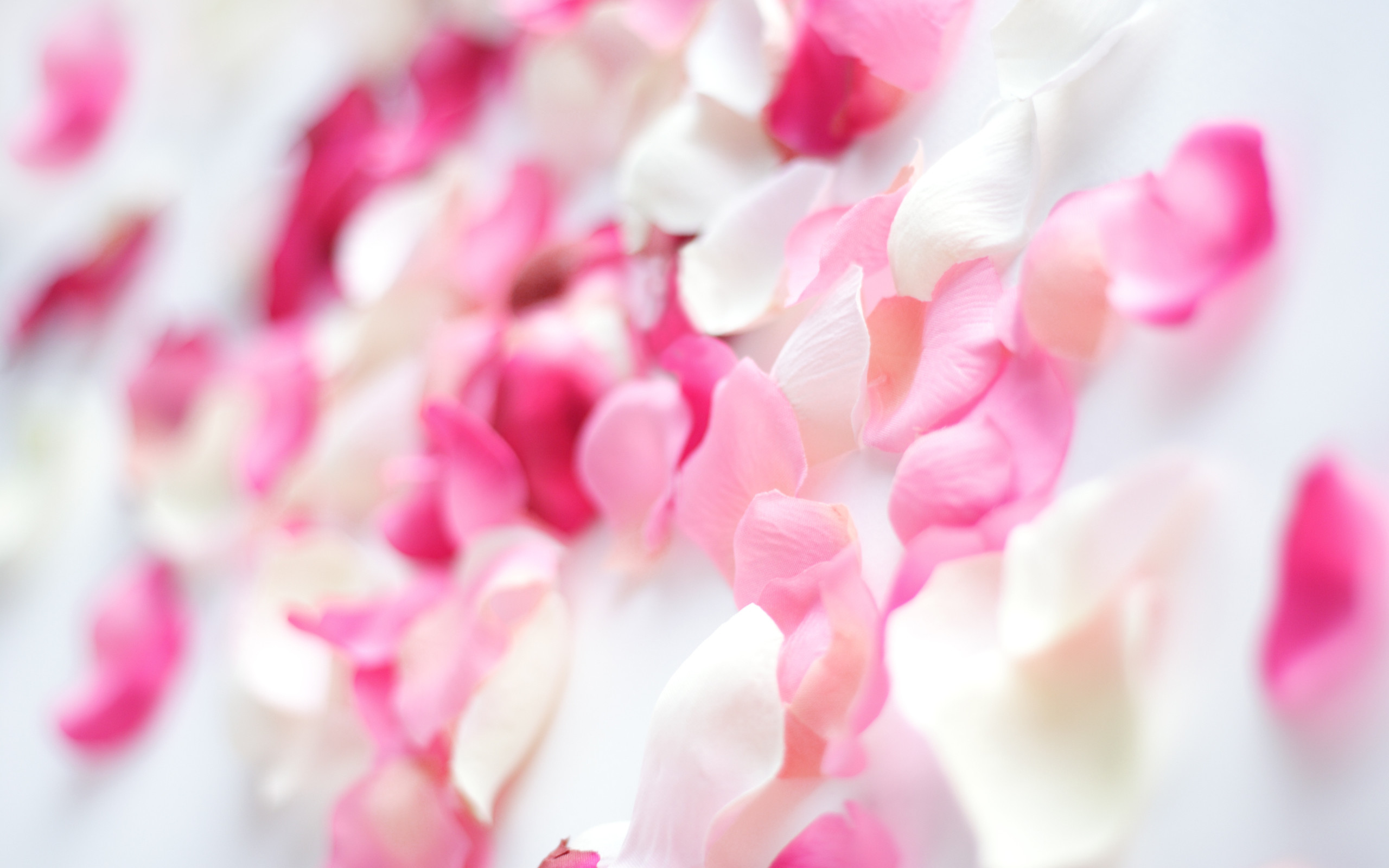 Pink Flower Wallpaper (74+ pictures)