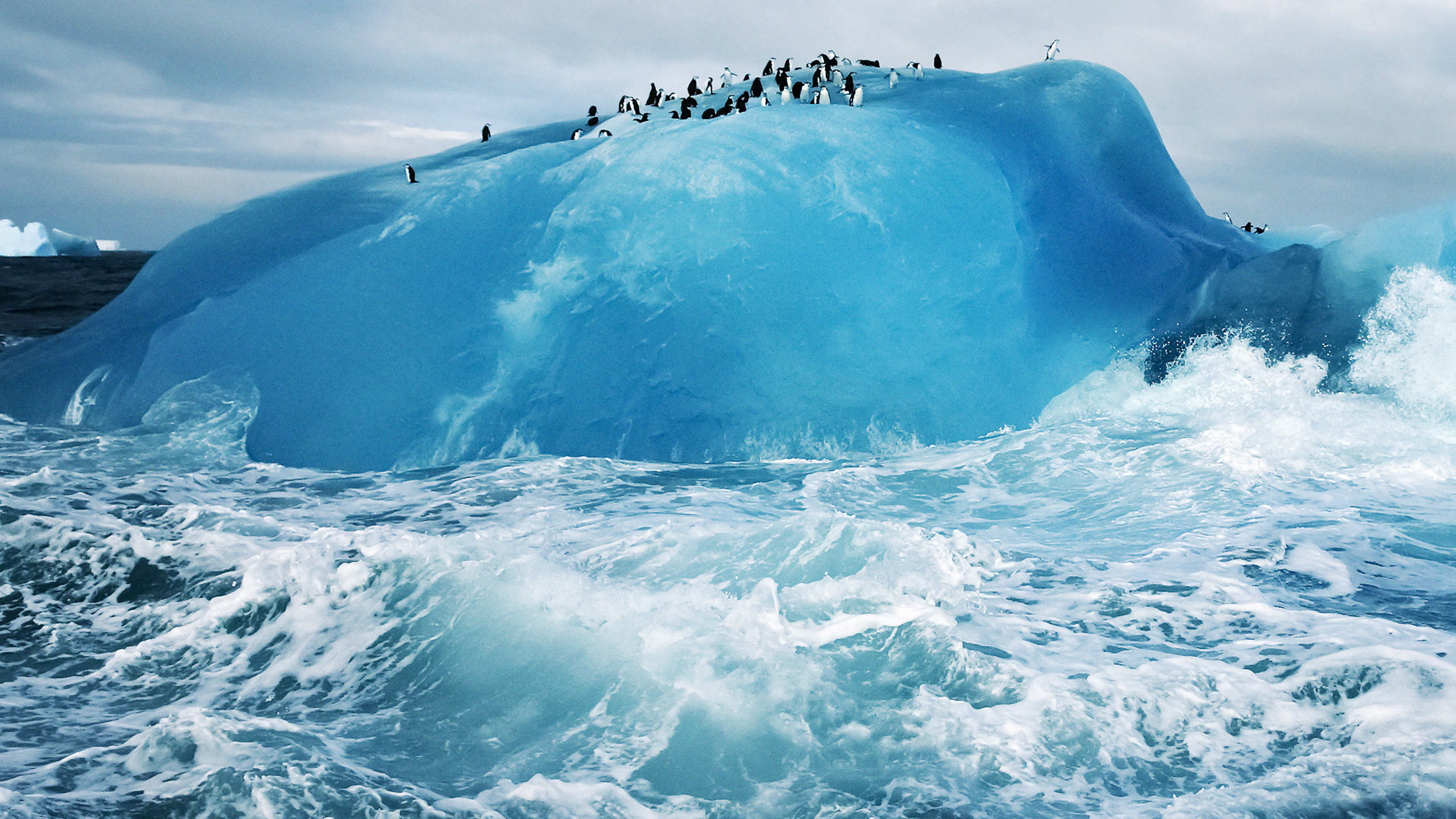 Ледник гидросфера. Ледовитый океан Айсберг. Лед Айсберг Арктика. Айсберги Антарктиды. Гидросфера Айсберг.