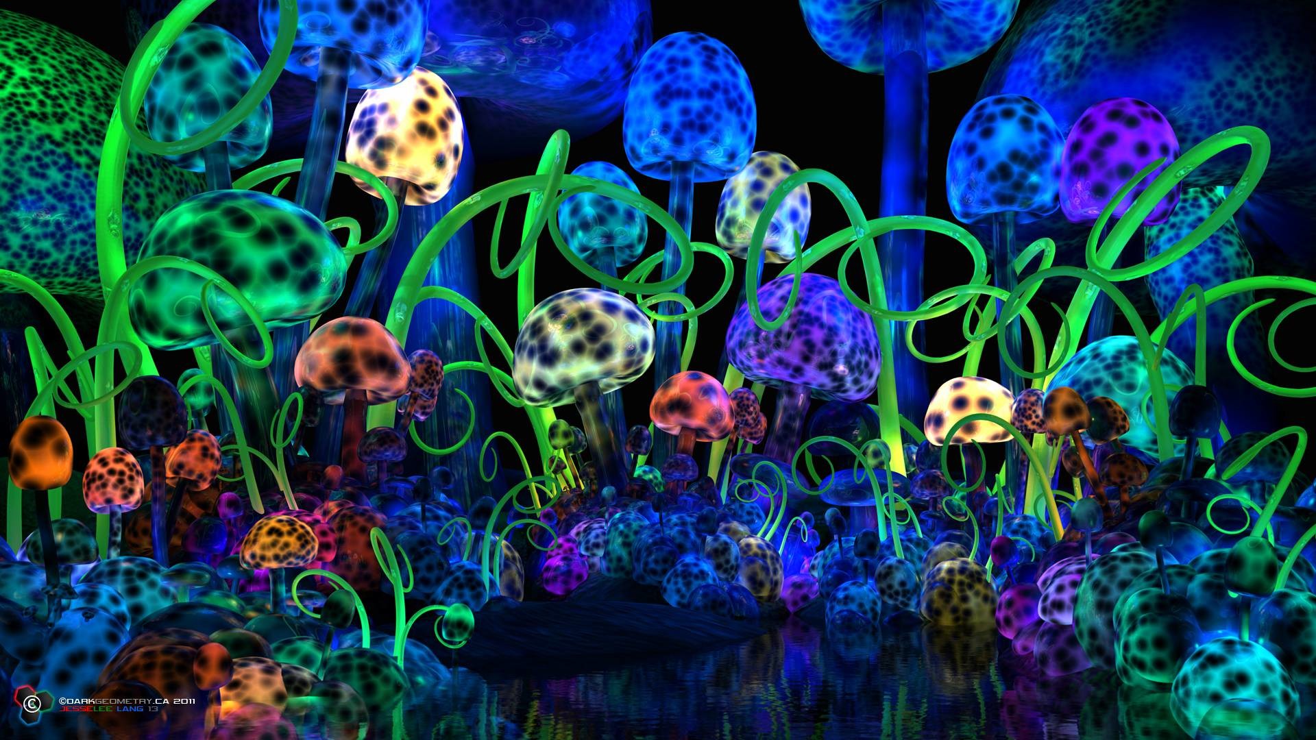 Free download art mushroom psychedelic mushroom wallpaper free hd  backgrounds images 546x699 for your Desktop Mobile  Tablet  Explore  45 Trippy Mushroom Wallpaper  Mushroom Wallpapers Infected Mushroom  Wallpapers Mushroom Cloud Wallpaper