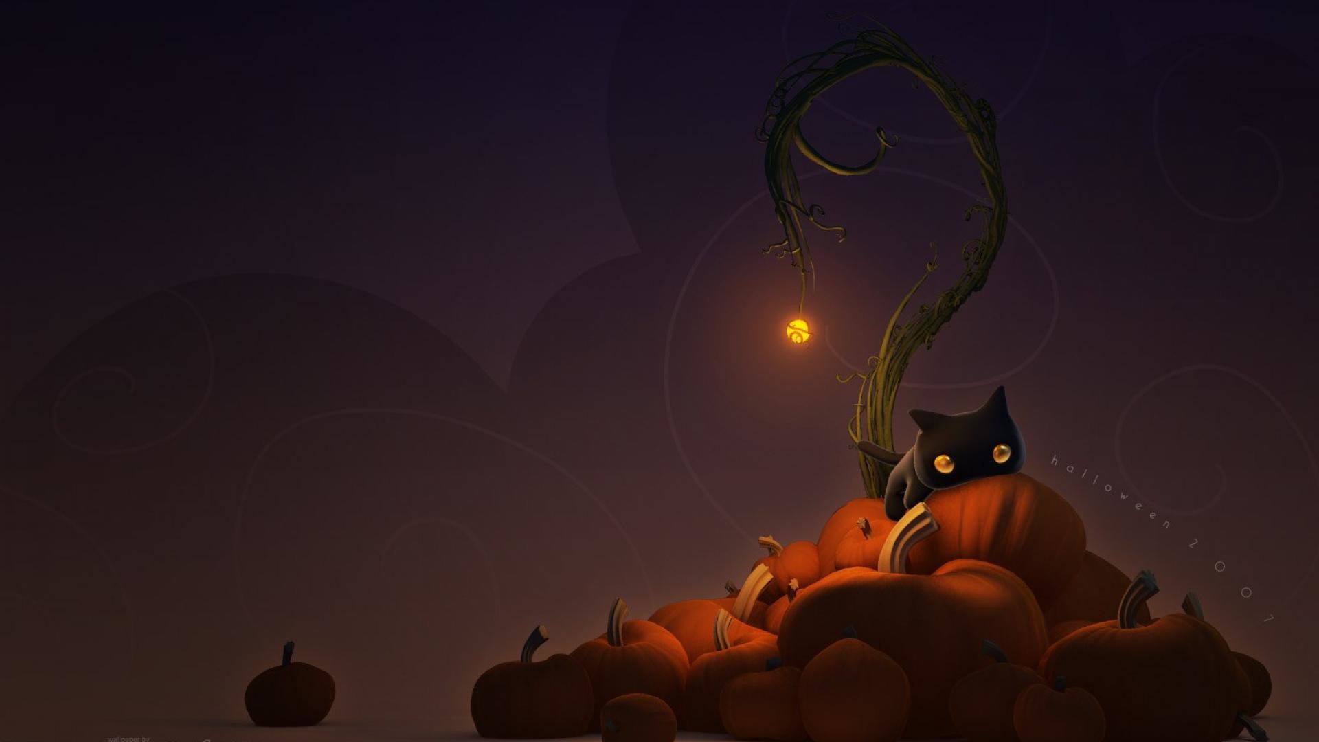 Black Cat Pumpkin Halloween Wallpaper Wallpaper 1920x1080