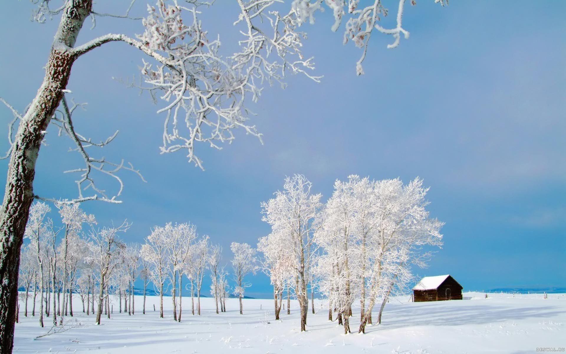 Res: 1920x1200, Winter Wallpaper 22 1920x1200