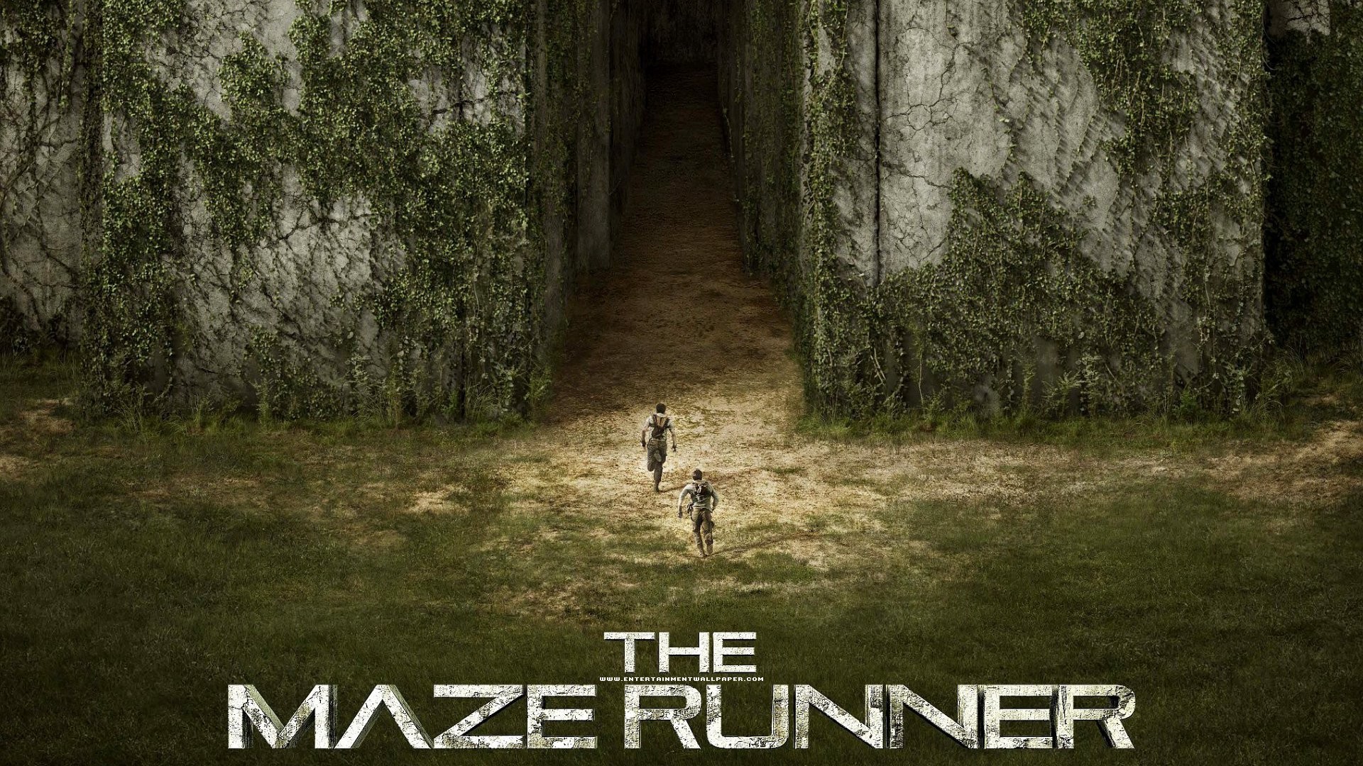 maze-runner-wallpapers-74-pictures