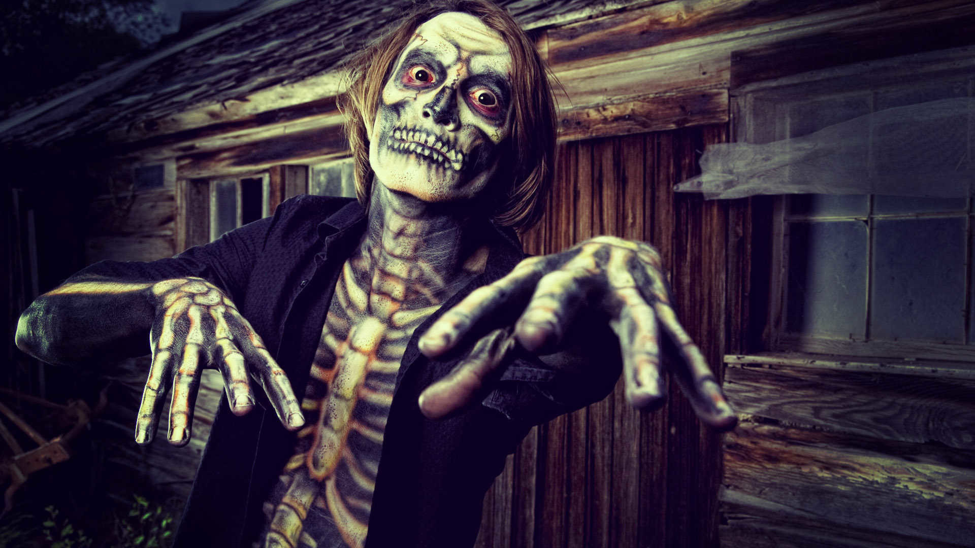 1920x1080 Albert Einstein Funny Zombie HD Wallpapers Exclusive 1920x1080