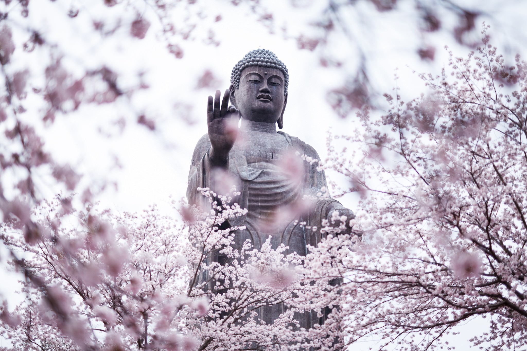 Wallpaper Buddha (66+ pictures)