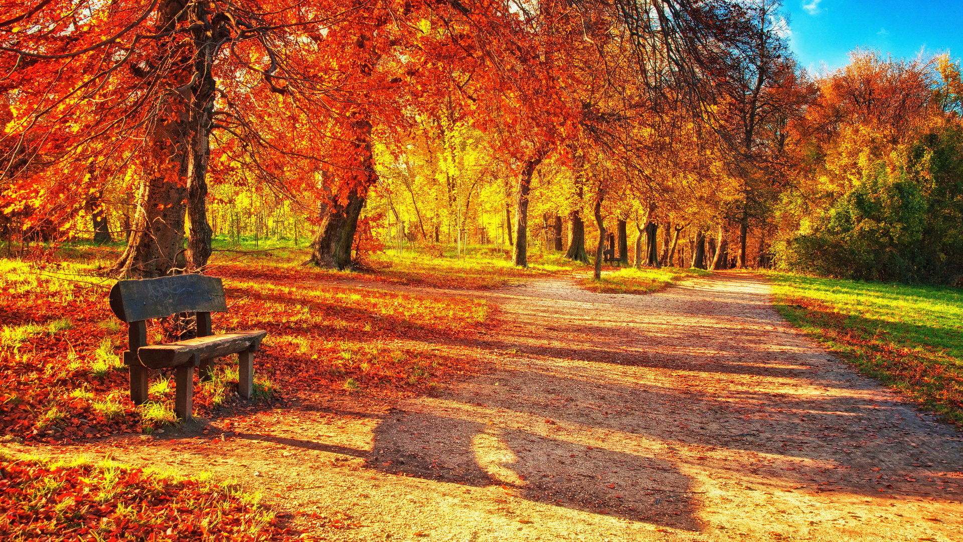 fall wallpaper 72 pictures
