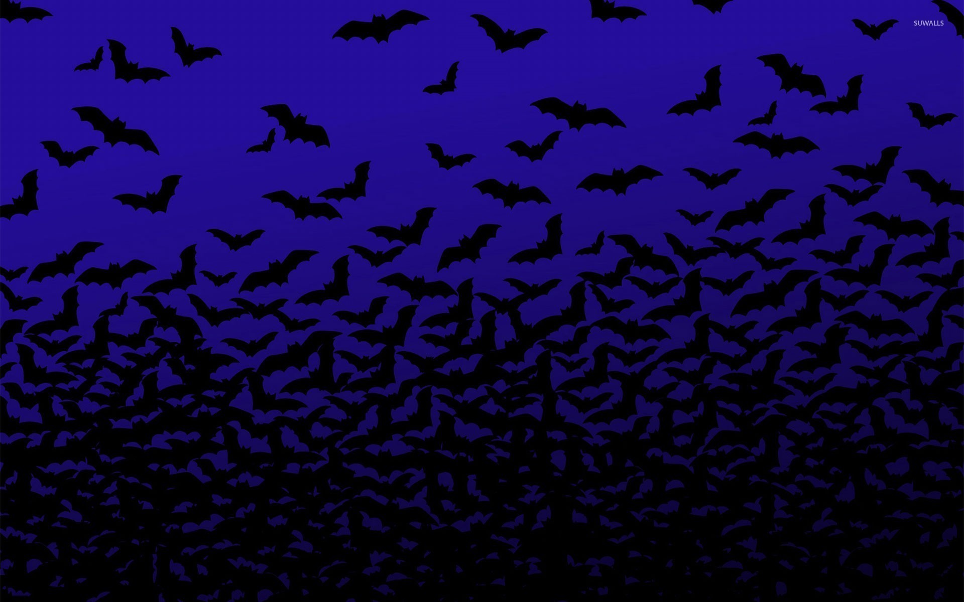 Bats Wallpaper 62 images