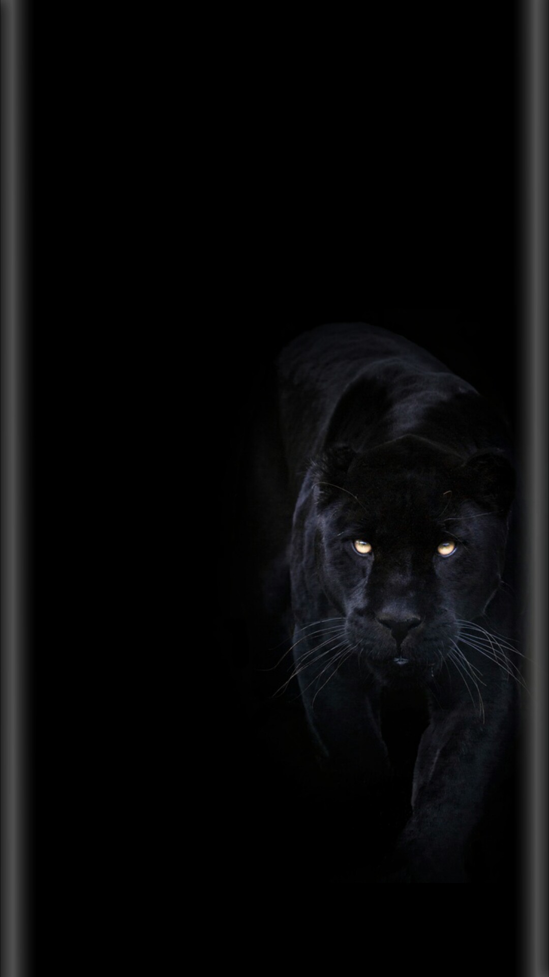  Black  Panther  Background 65 pictures  