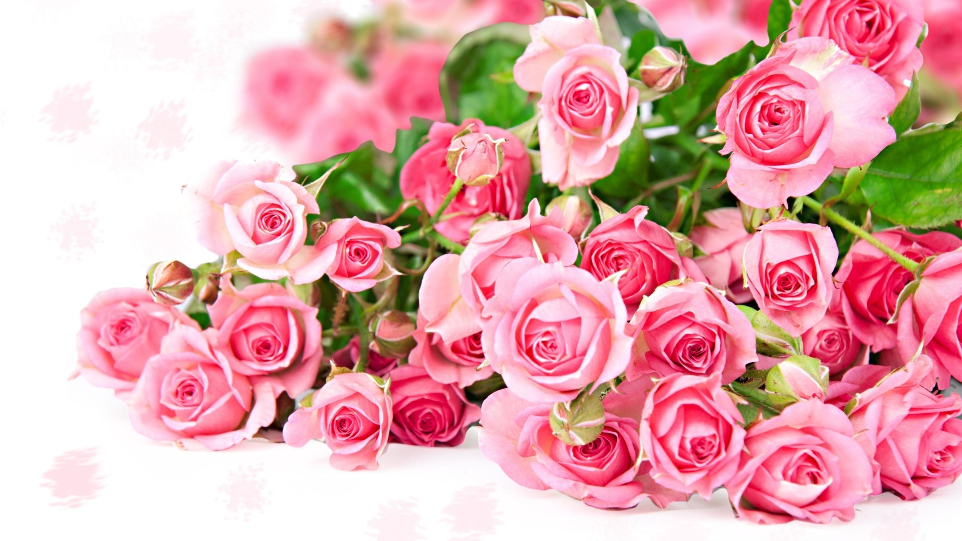 Pink roses large bouquet pink rosebuds roses background beautiful  flowers HD wallpaper  Peakpx
