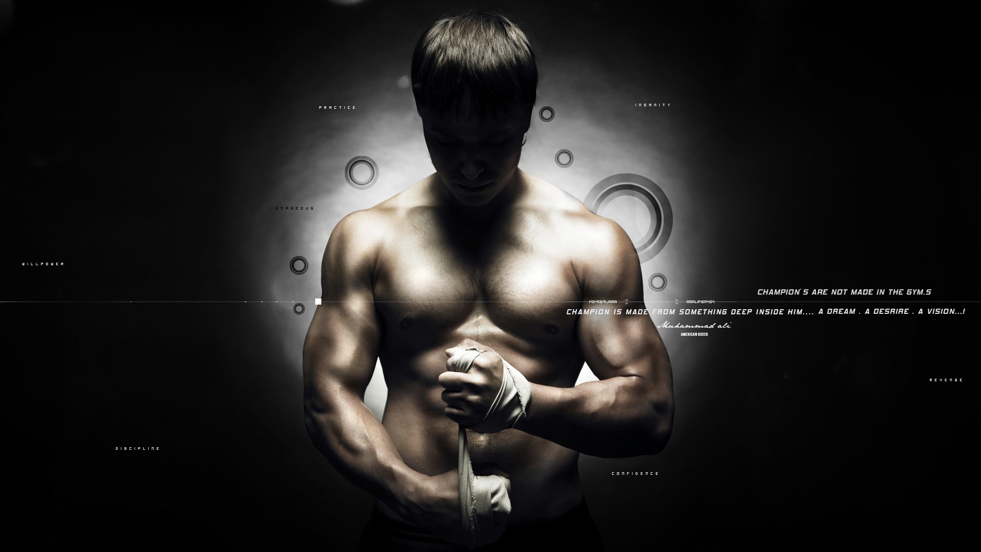 MMA Fighter Wallpapers  Wallpaper Cave