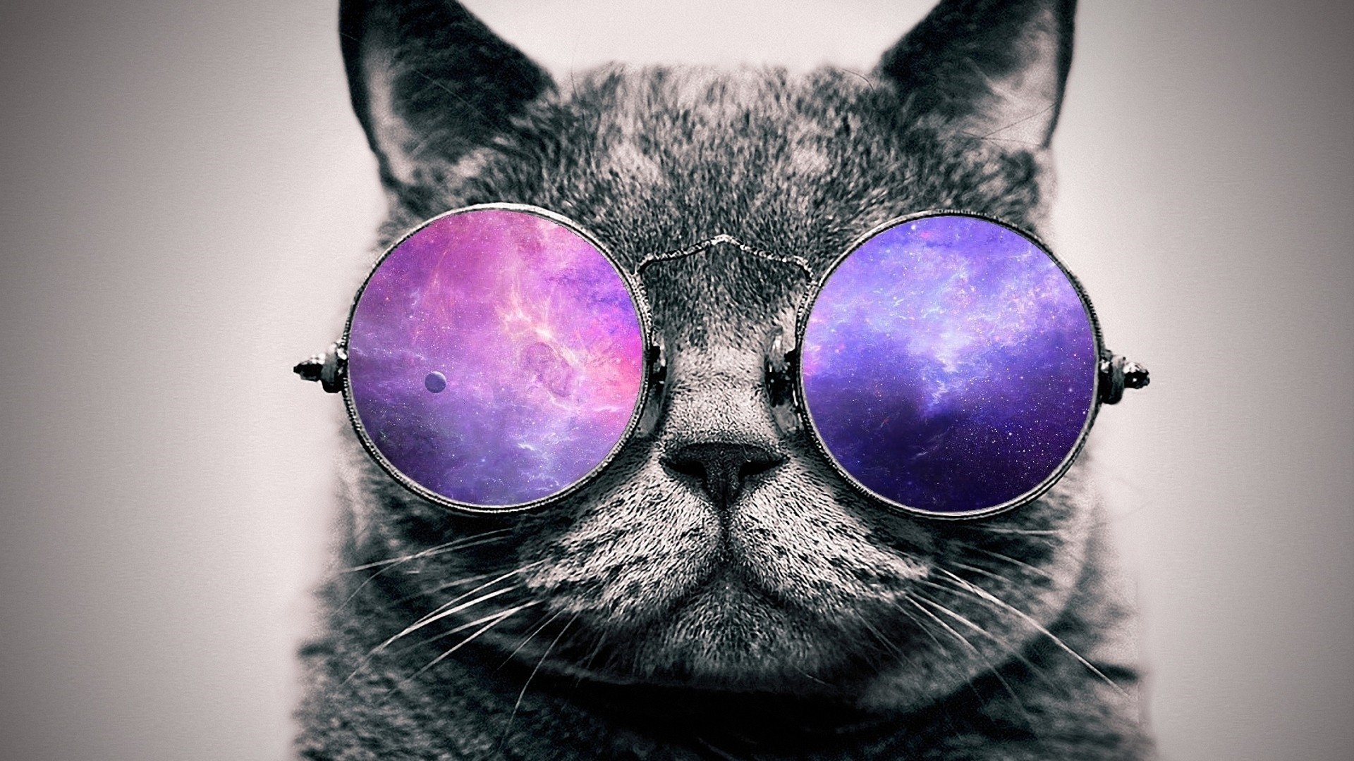 Cool Cat Backgrounds (59+ pictures)