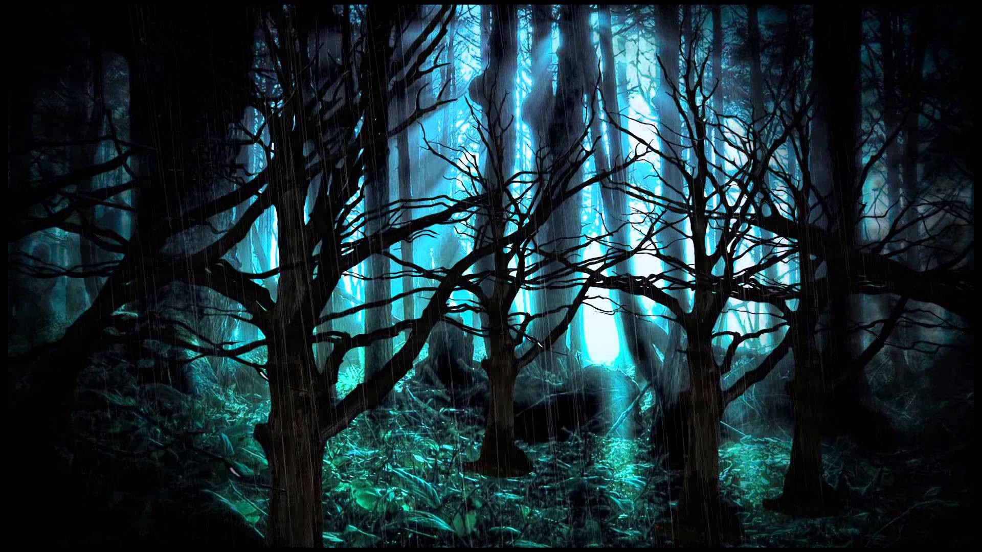 Dark Forest Background (80+ pictures)