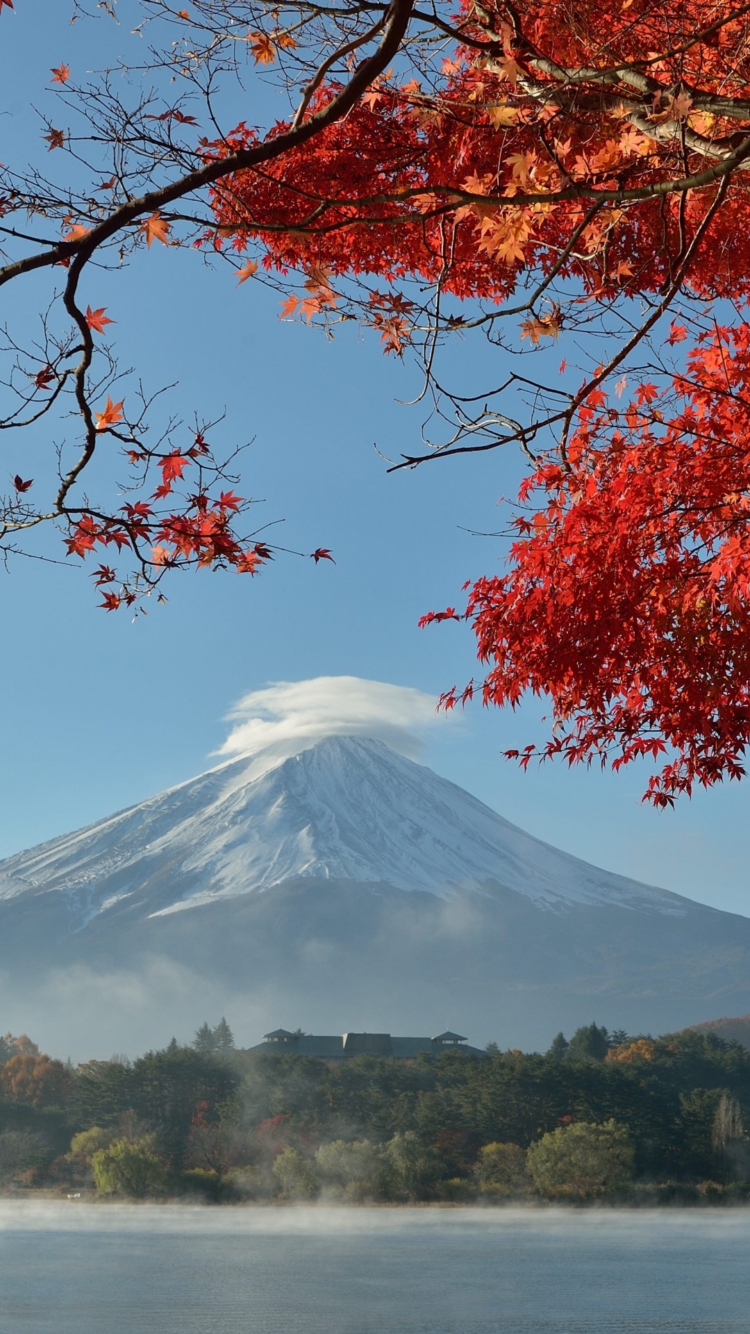 Premium Photo  Japan anime scenery wallpaper featuring beautiful pink  cherry trees and mount fuji in the background