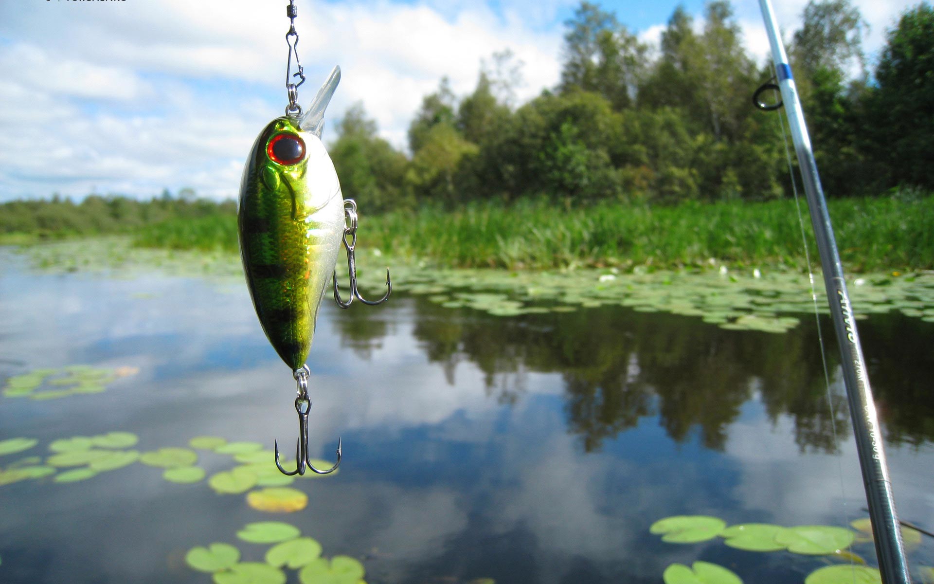 Bass Fishing Wallpaper 4K APK for Android Download