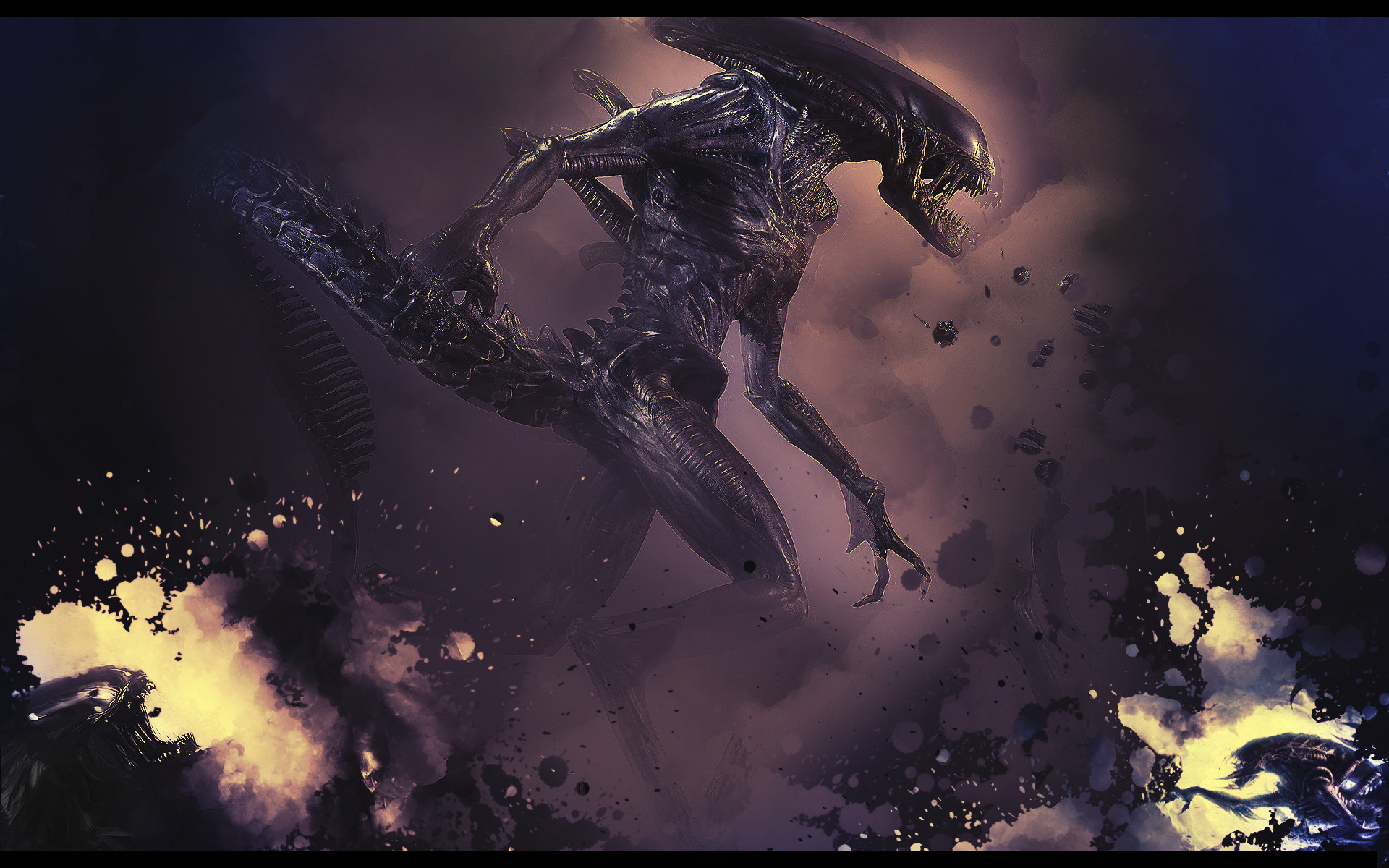 Xenomorph Wallpapers 63 Pictures 2512