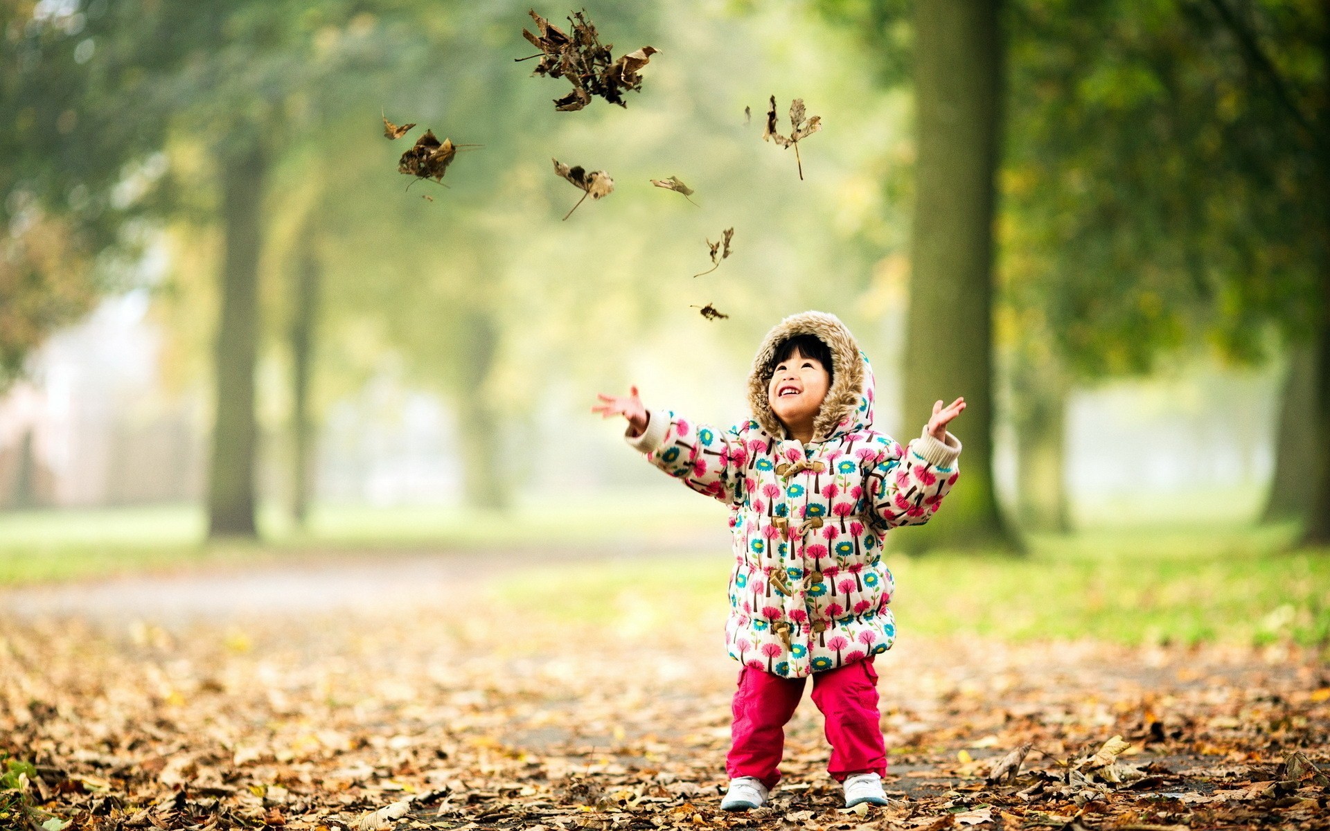 child-happy-nature-autumn-leaves-hd-wallpaper 1920x1200