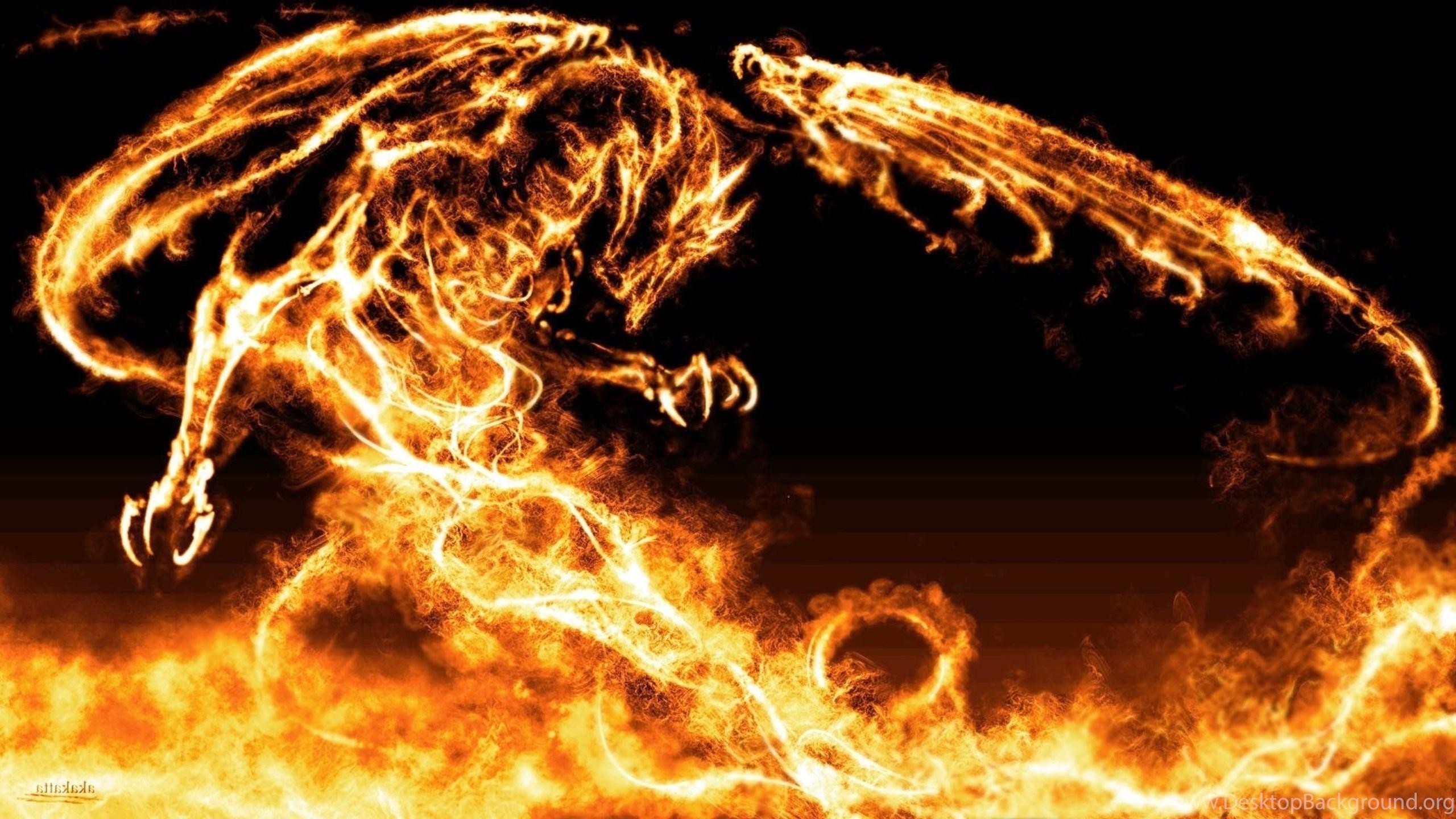 fire dragon HD wallpapers, backgrounds