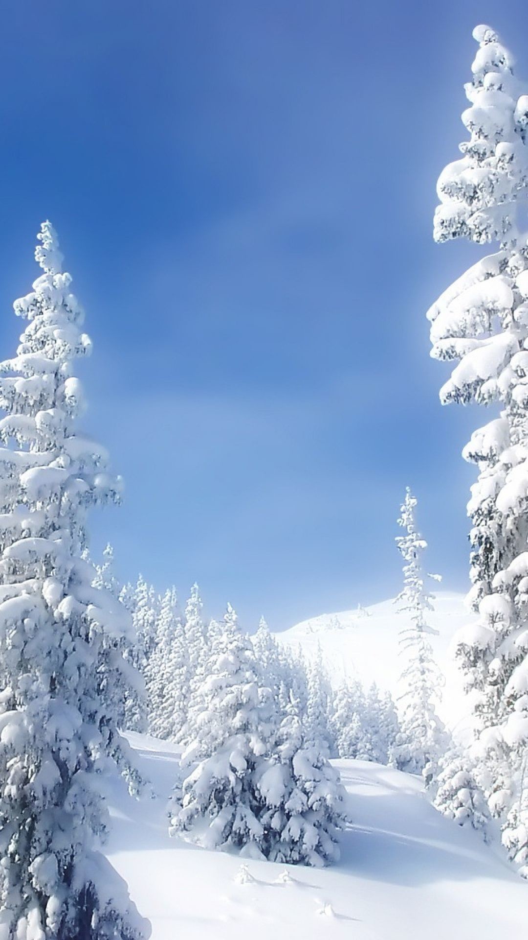15 Best cute desktop wallpaper winter You Can Download It For Free ...